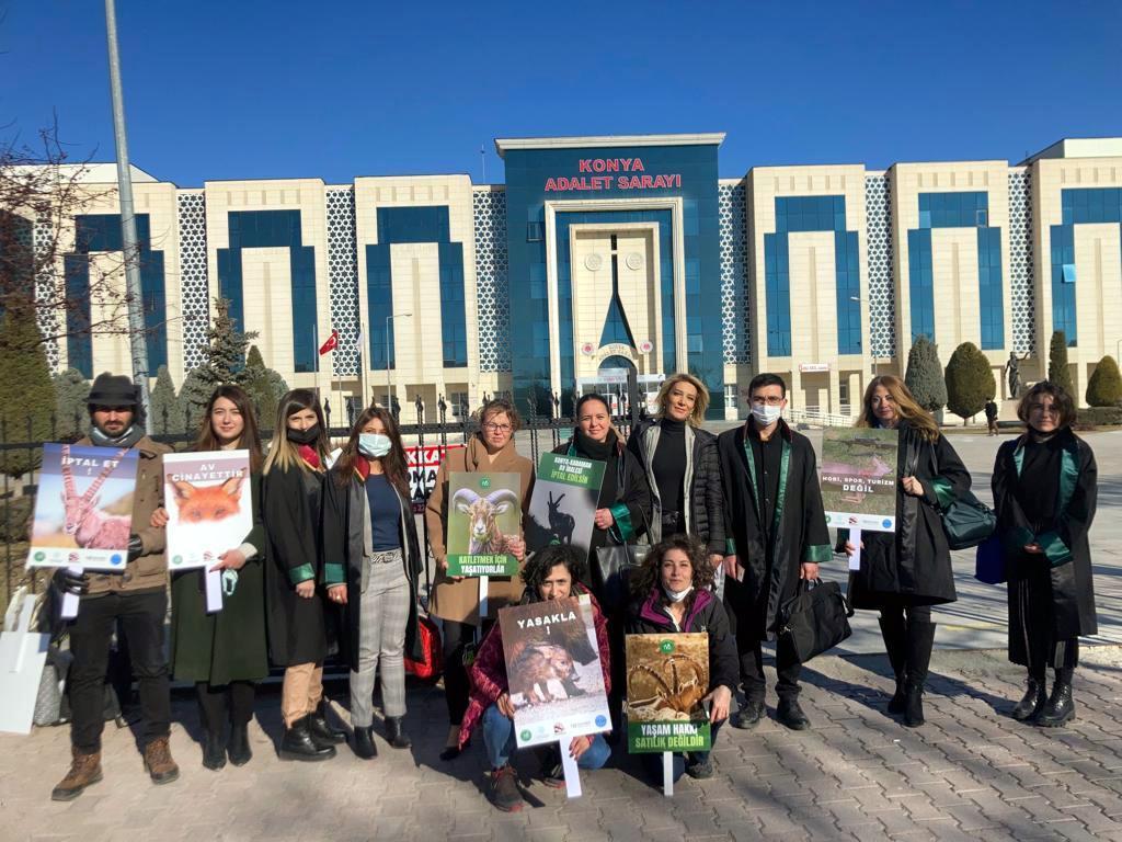 Konyadaki mahkeme kararı verdi: Yaban koyunu ve yaban keçisi av ihalesi iptal