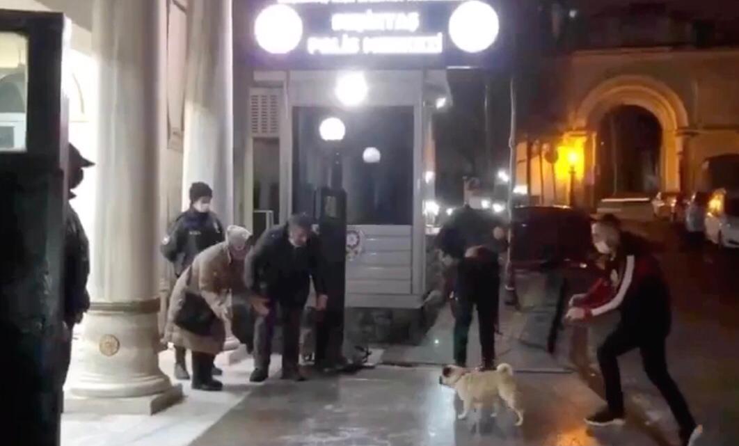 Beşiktaşta çalınan Gorbi Silivride bulundu