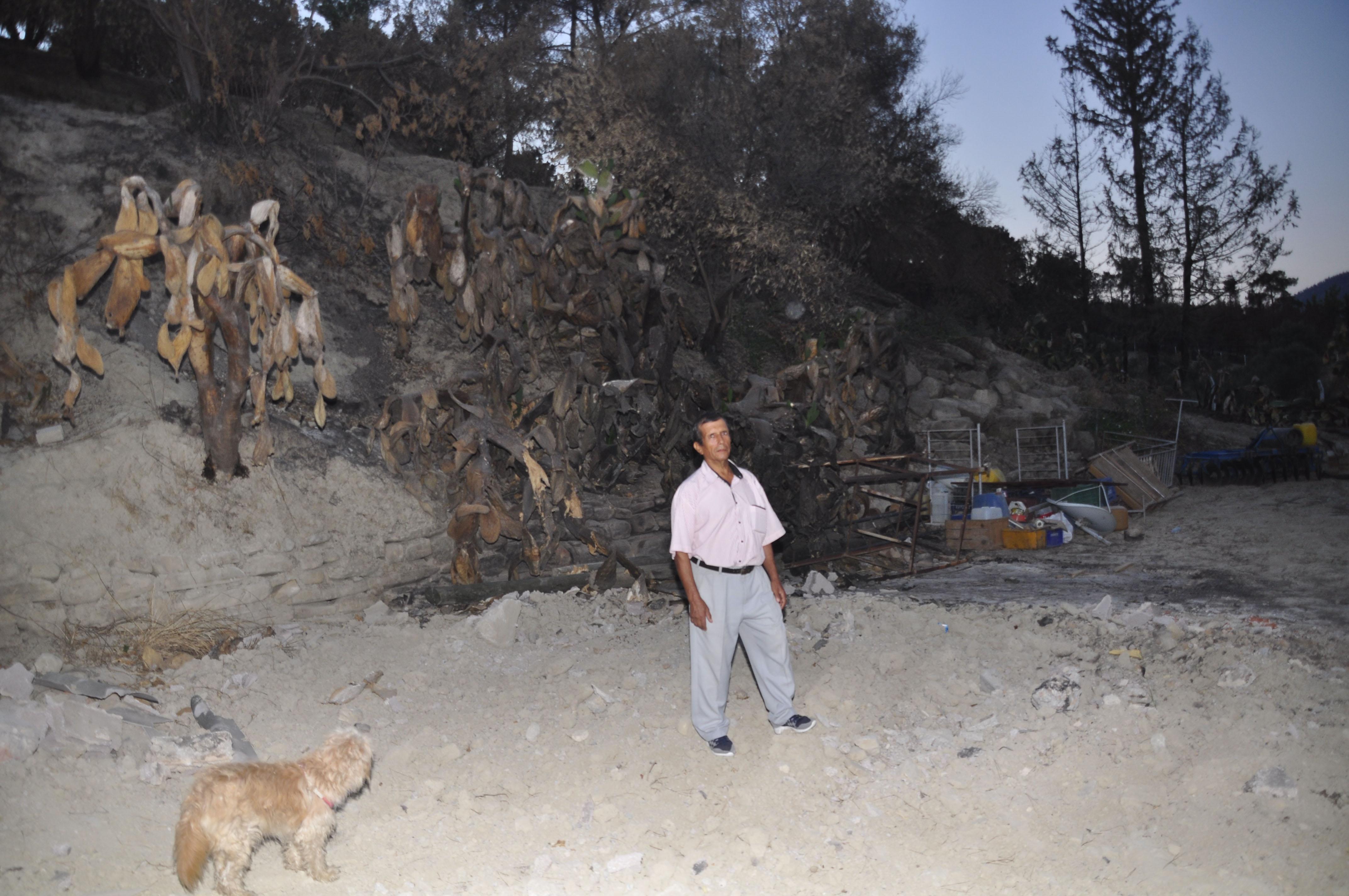 Büyük Manavgat yangınında küle dönen evi için türkü yaktı