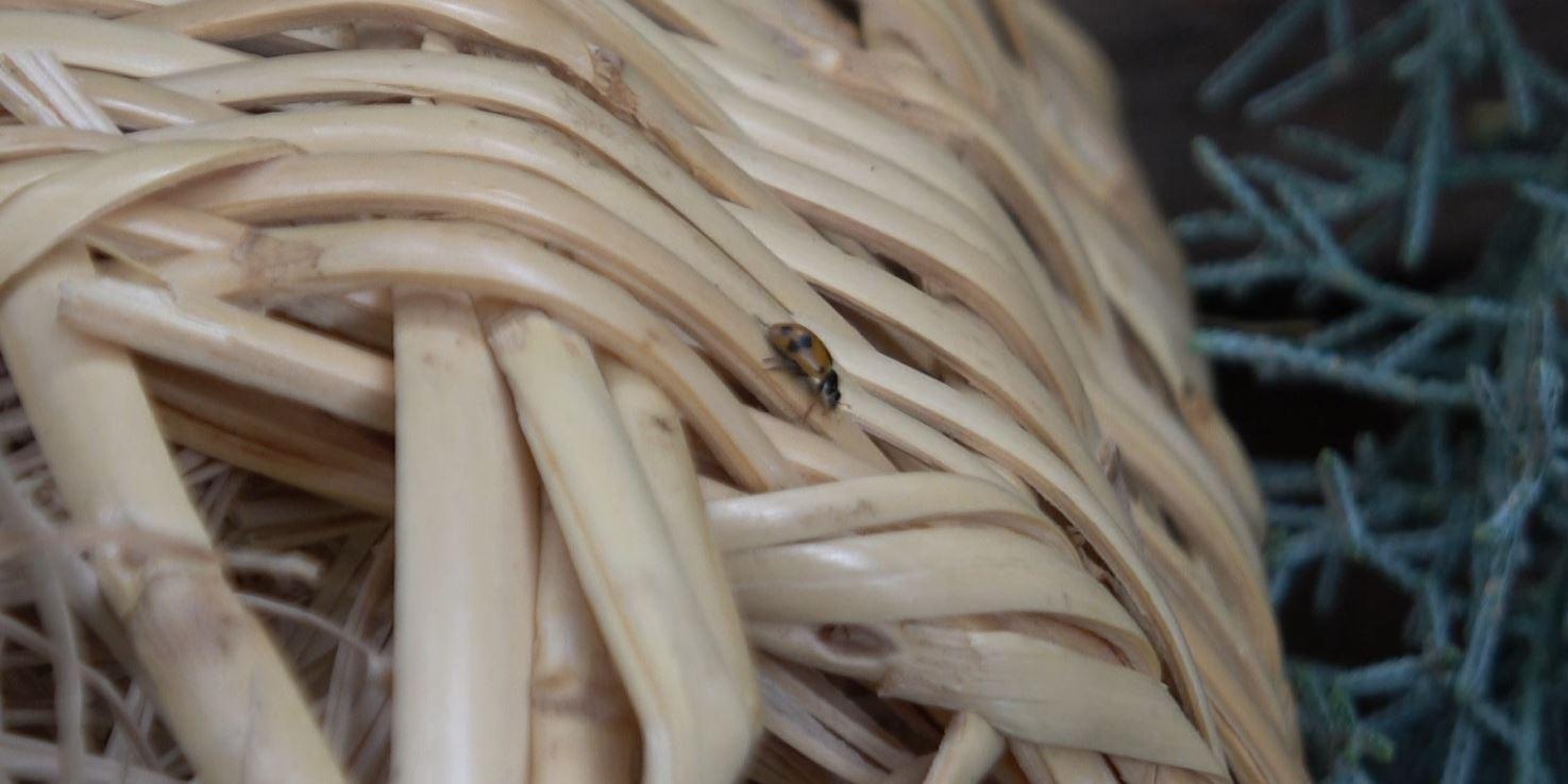 Çevre bilinci için anaokulu bahçesine böcek oteli yaptılar