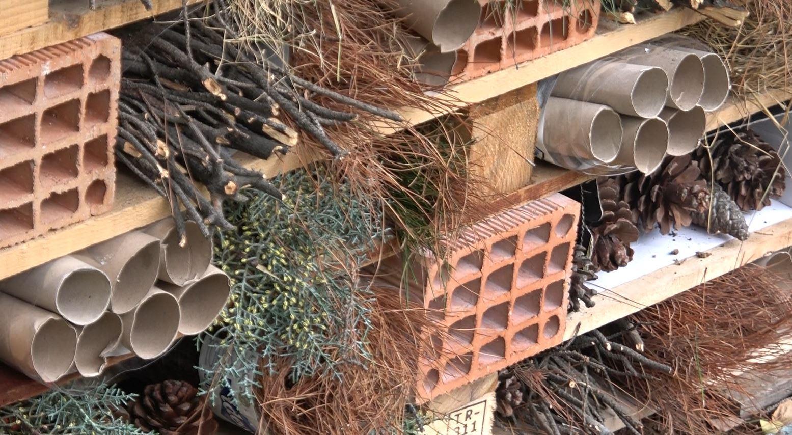 Çevre bilinci için anaokulu bahçesine böcek oteli yaptılar