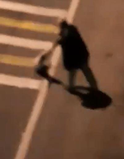 Ankara Barosundan sokak hayvanları için Pati Yardım Hattı