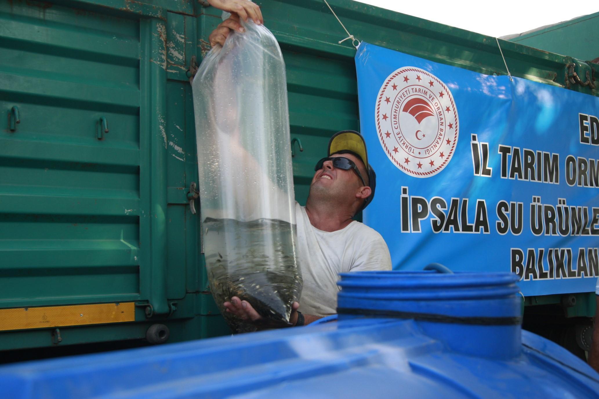 İznik Gölüne, 945 bin yavru sazan ve yayın balığı yavrusu bırakıldı