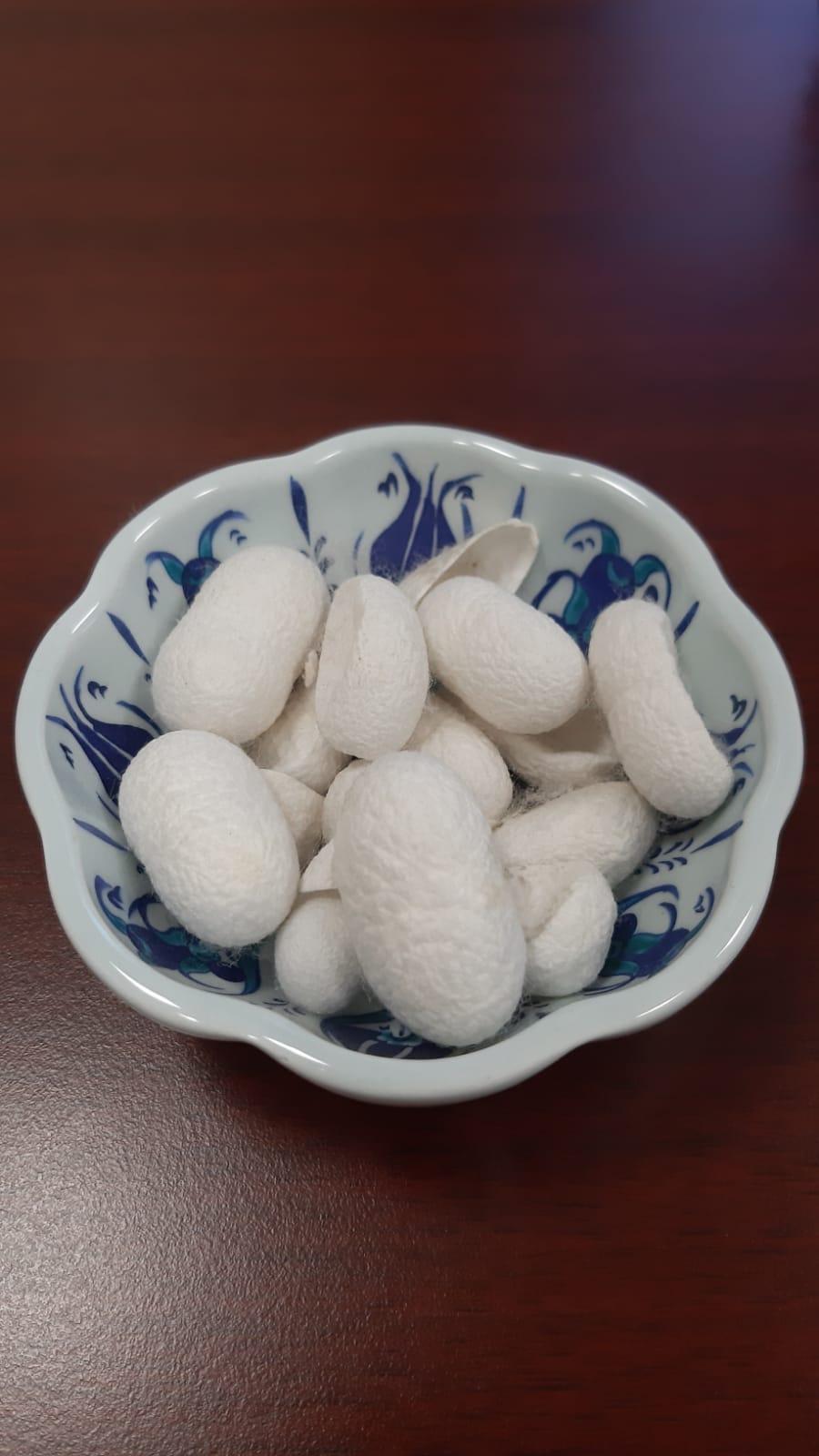 Atık sudan kazanılan serisin proteininden kumaş kaplama malzemesi