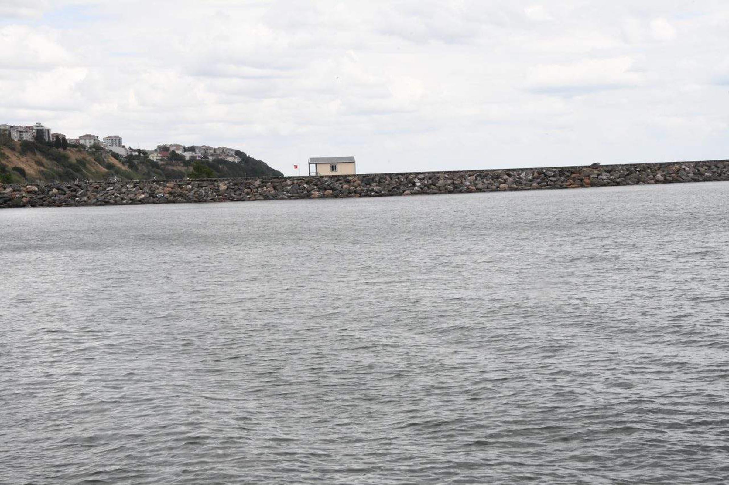 Prof.Dr. Tecer: Deniz 1 santim yükselirse 100 santim karayı yutar