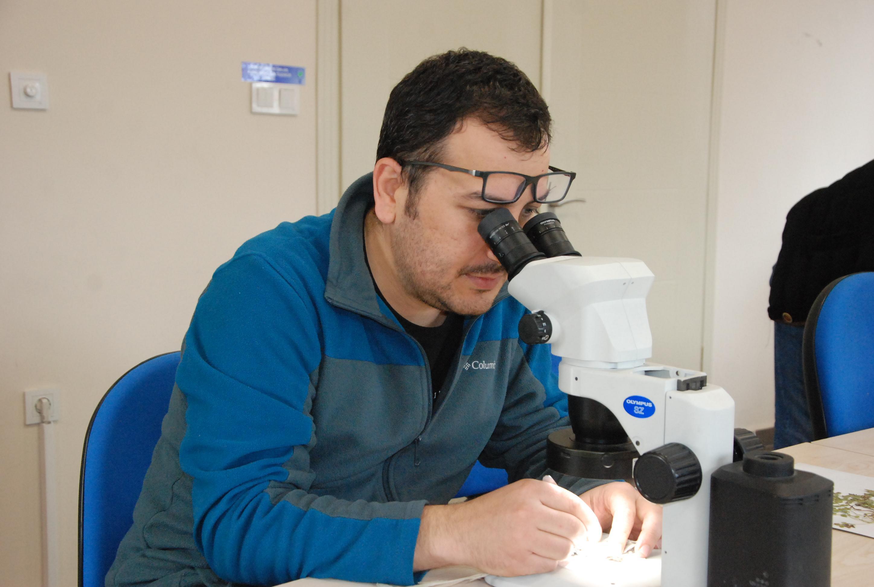 Yedigöller Milli Parkı’nda yeni bitki türü keşfedildi