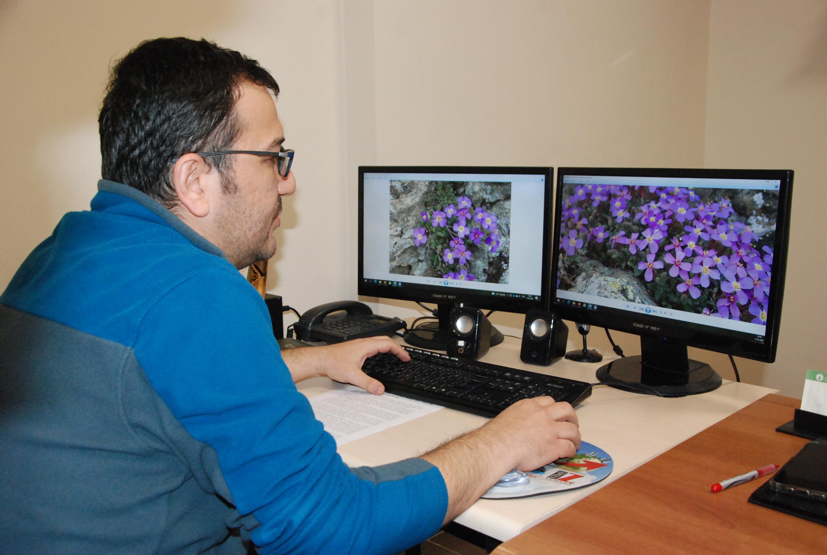 Yedigöller Milli Parkı’nda yeni bitki türü keşfedildi