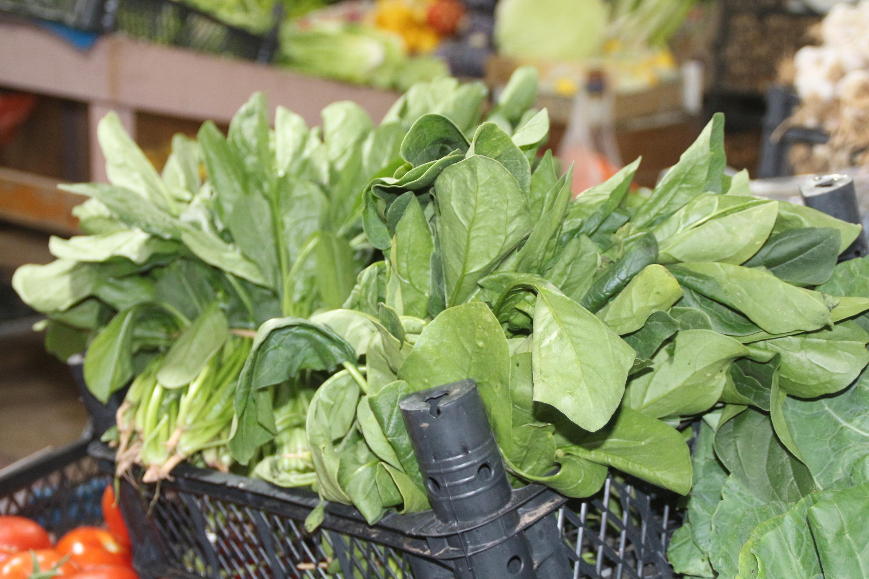 Oğluyla güzelavrat otundan zehirlenen anne: Çok korkunç süreçti