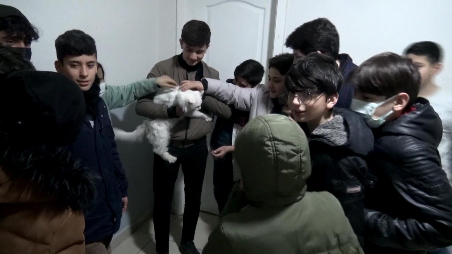 Köpeklerin yaraladığı sokak kedisine, öğrenciler sahip çıktı