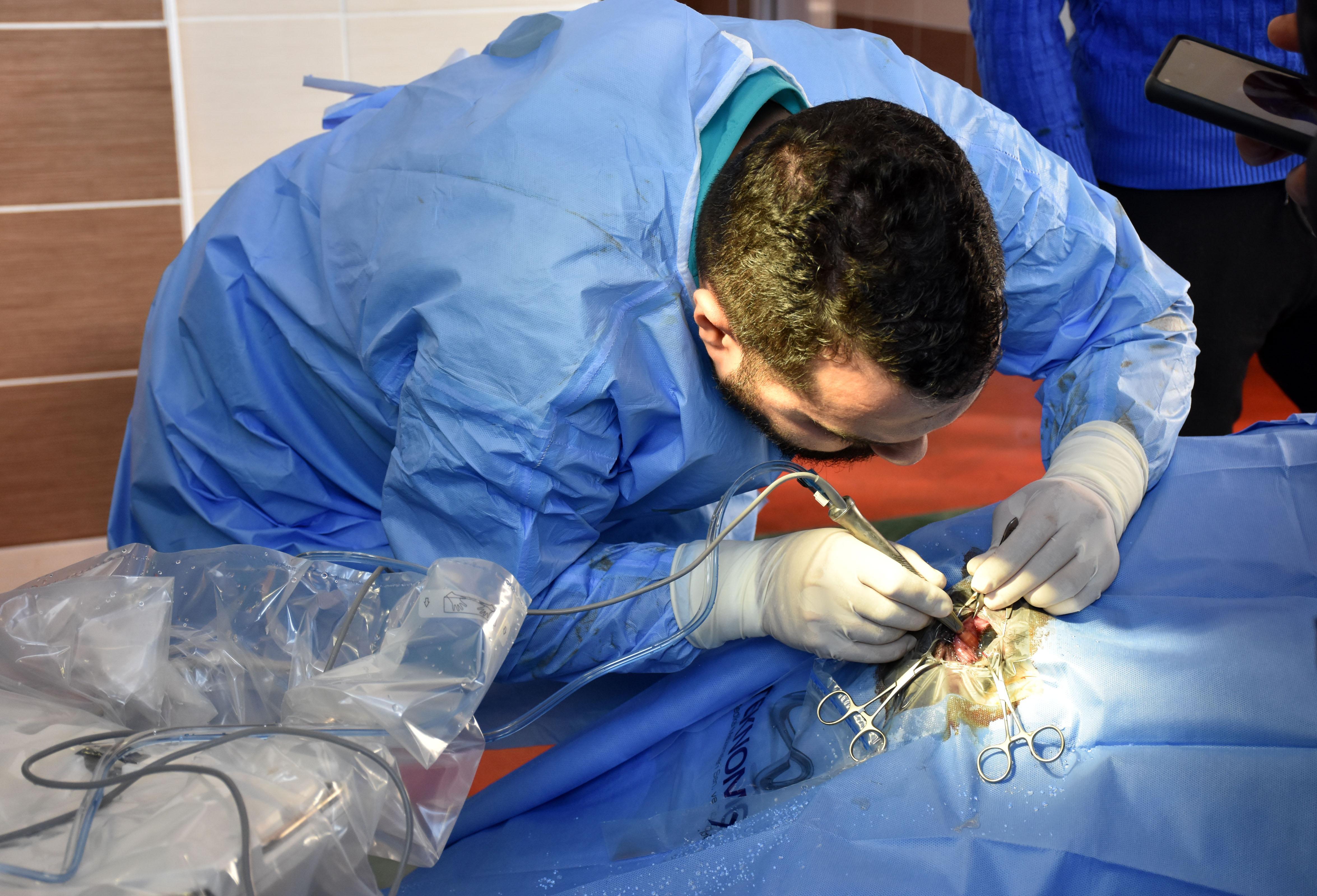 Burdurda deveye katarakt ameliyatı