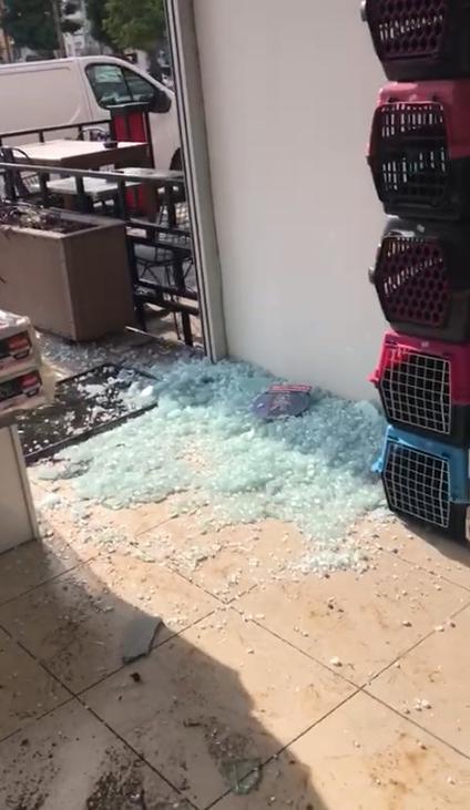 Veteriner hekimden coplu saldırı şikayeti