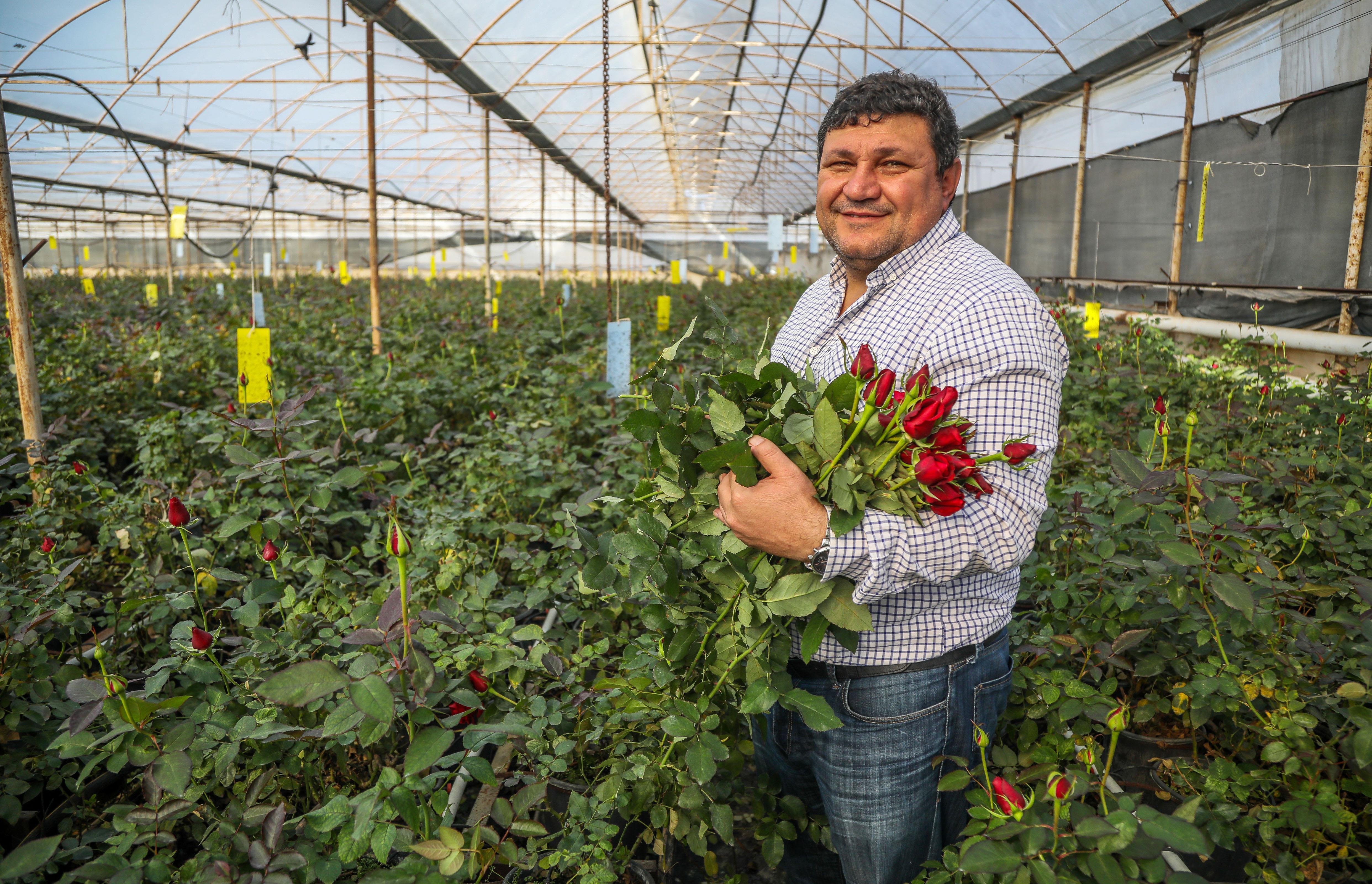 Süs bitkileri ihracatında hedef 500 milyon dolar