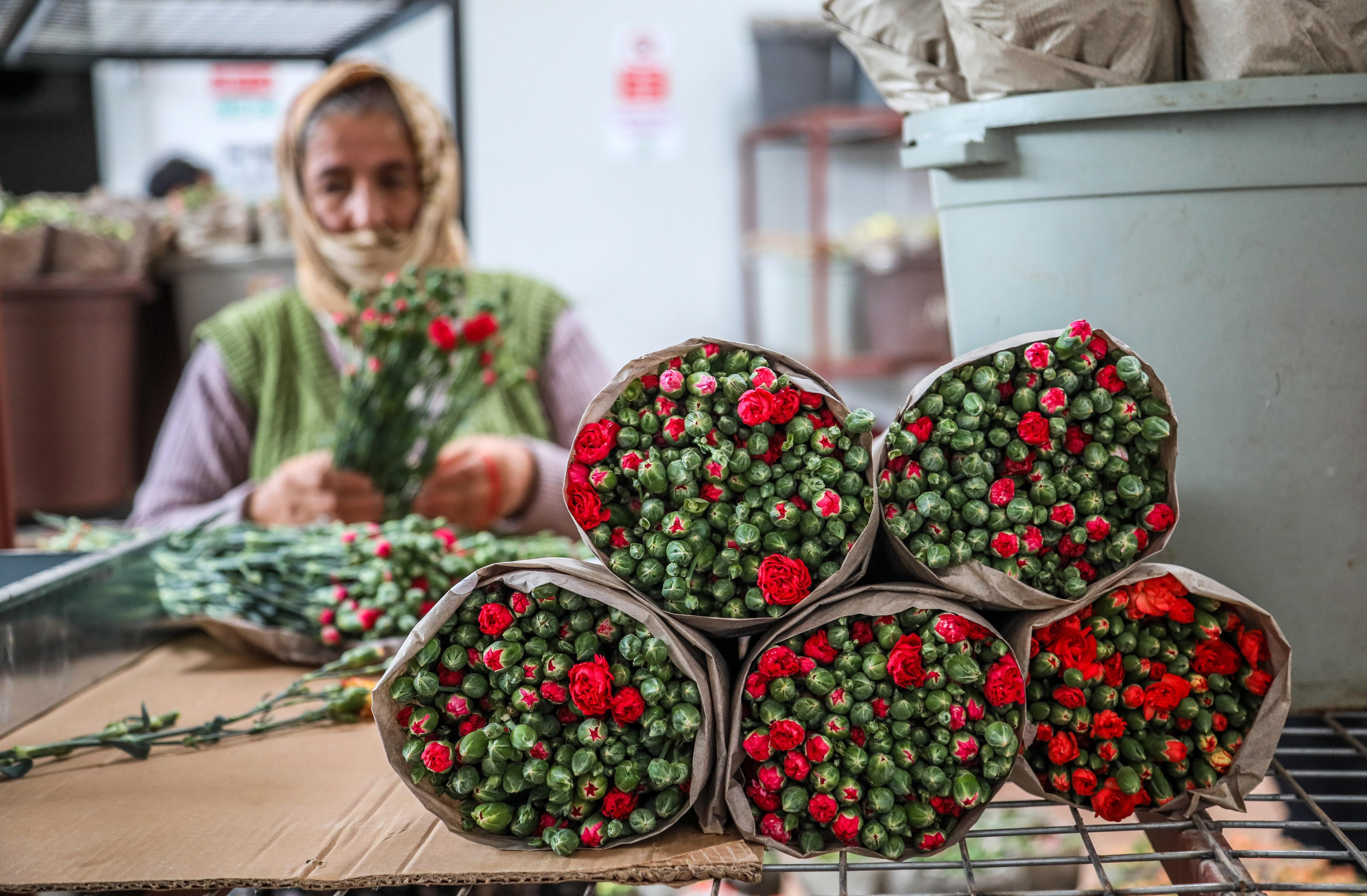 Süs bitkileri ihracatında hedef 500 milyon dolar