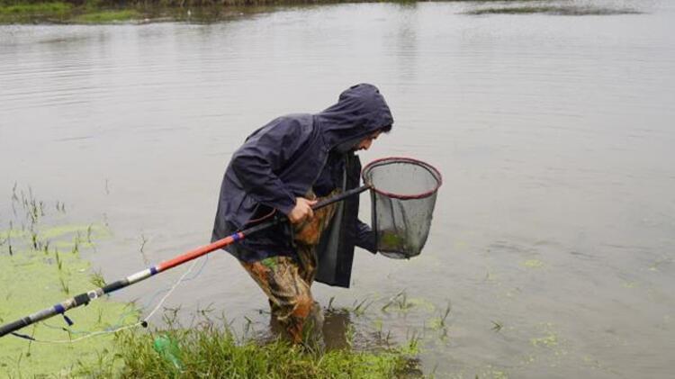 Leonardo DiCapriodan Sason Çayında 47 yıl sonra görülen balık paylaşımı