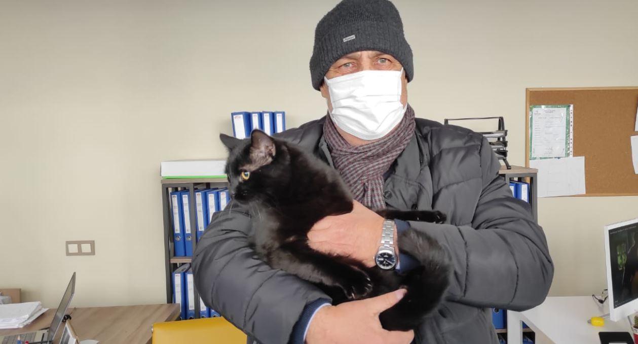 Bahçesinde 10 ölü köpek bulunan kadının evine 2nci baskın