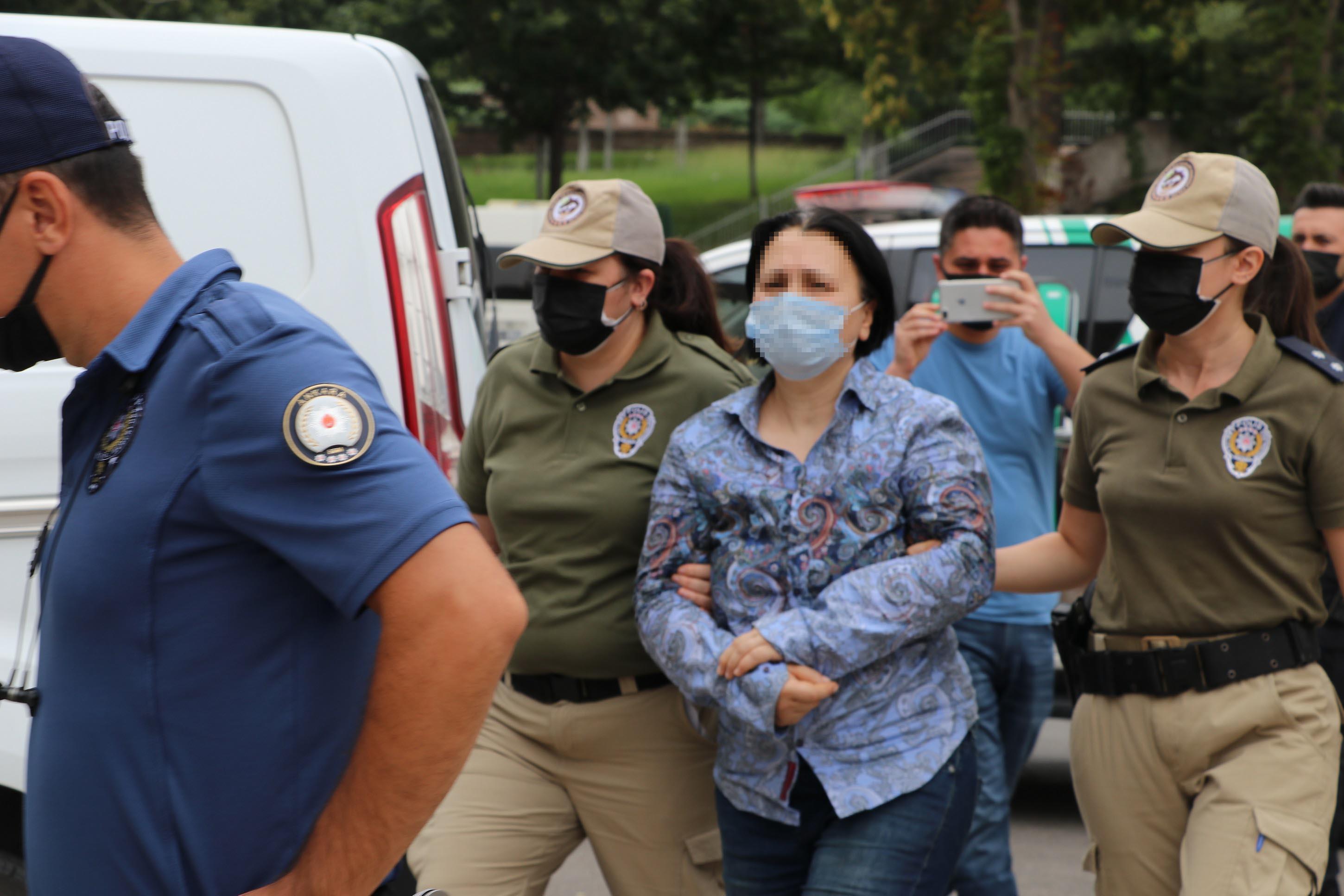Bahçesinde 10 ölü köpek bulunan kadının evine 2nci baskın