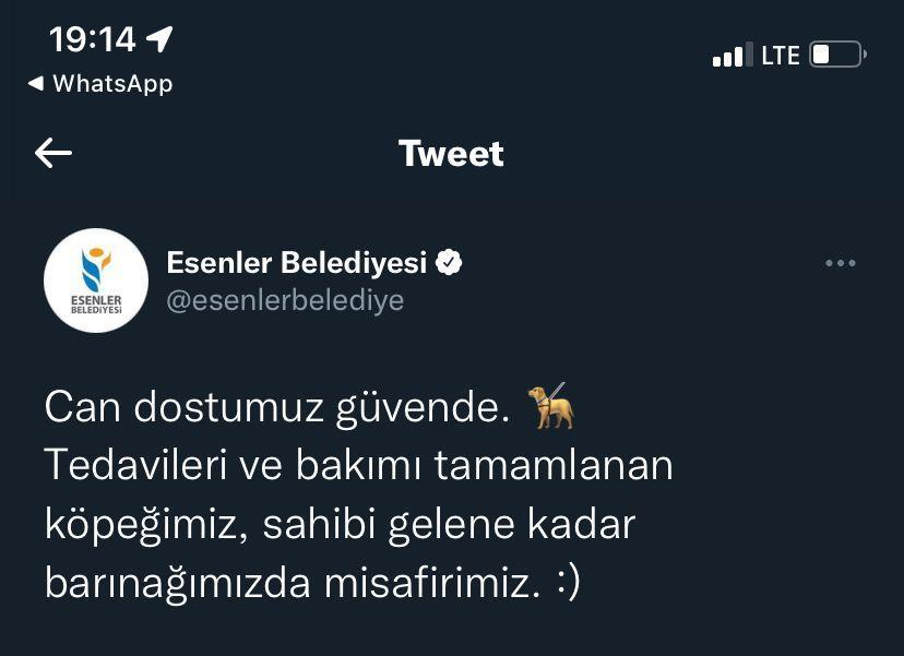 Esenlerde Barut adlı köpek sokakta ağzı ve ayakları bağlı halde bulundu