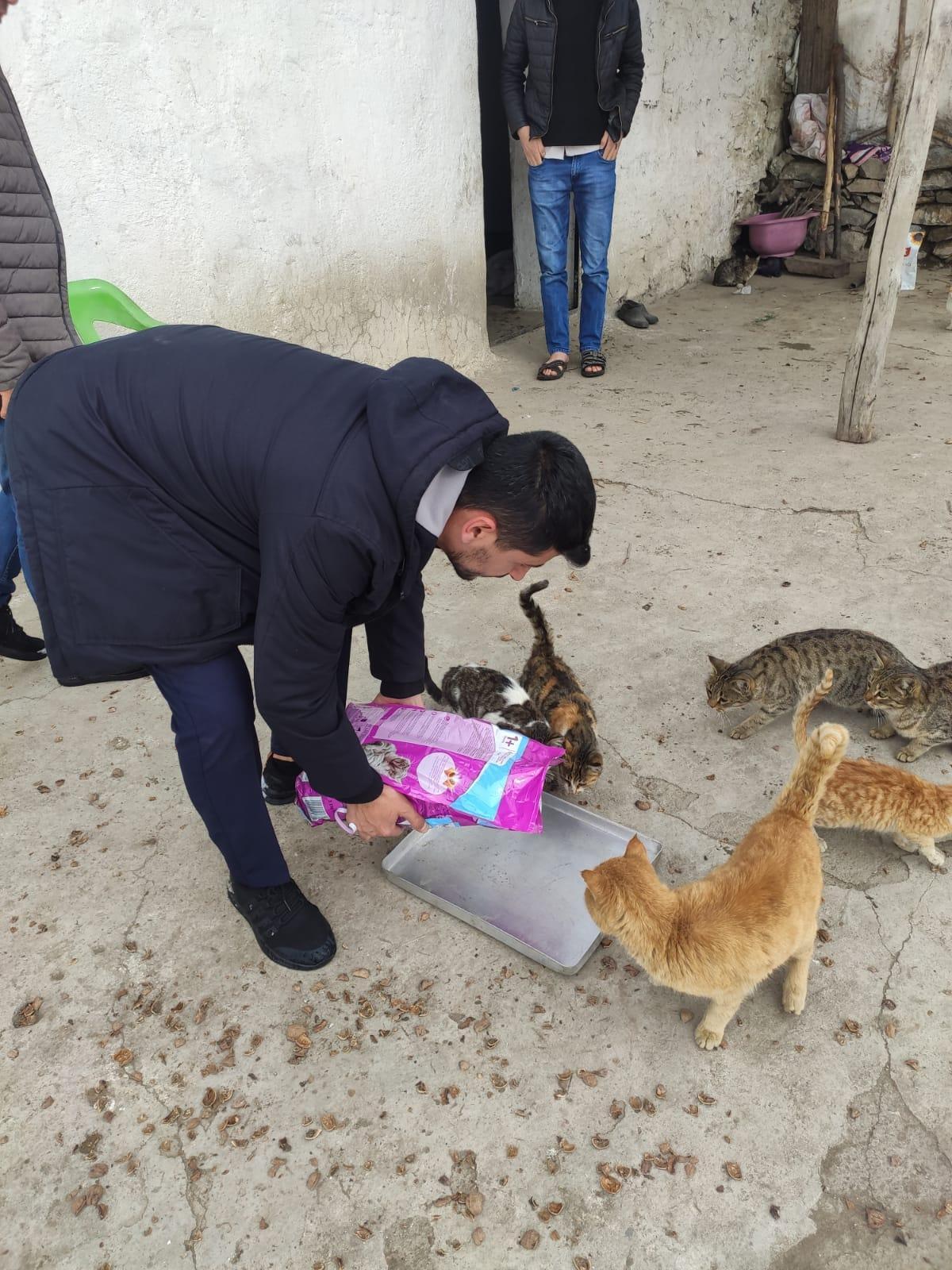 Kimsenin kalmadığı köyde, kedilerin ölmemesi için mücadele eden Baştaşa destek geldi