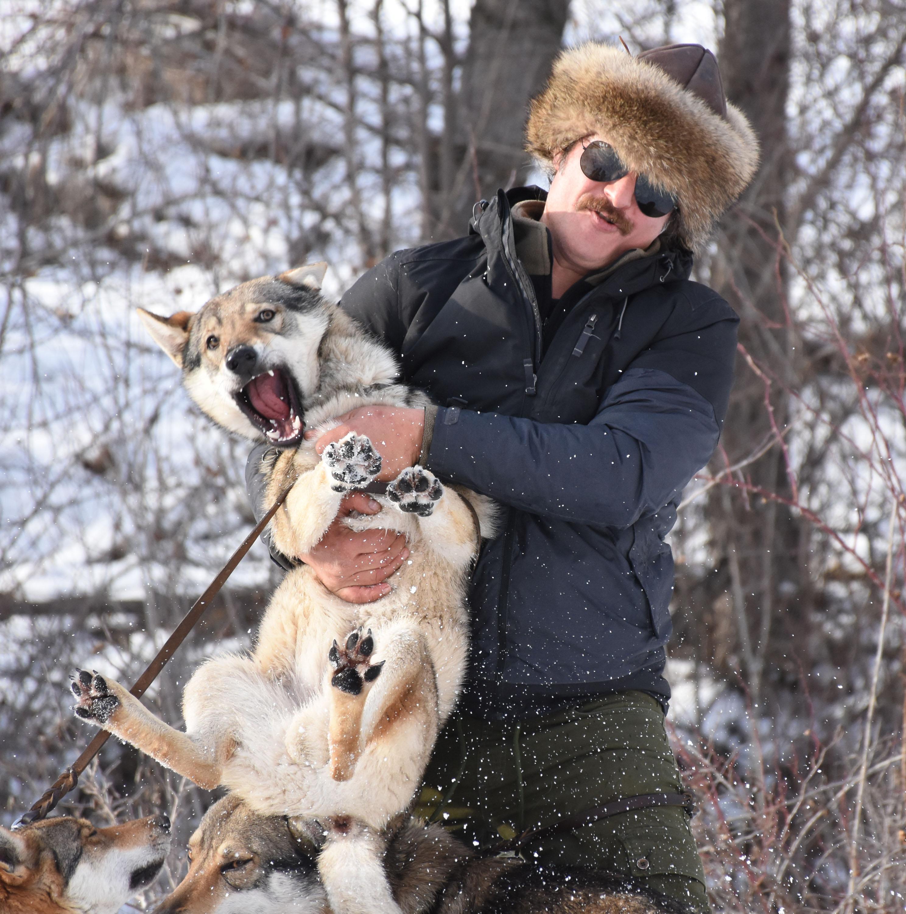 Özel yetiştirdiği kurtlarıyla dağlarda geziyor