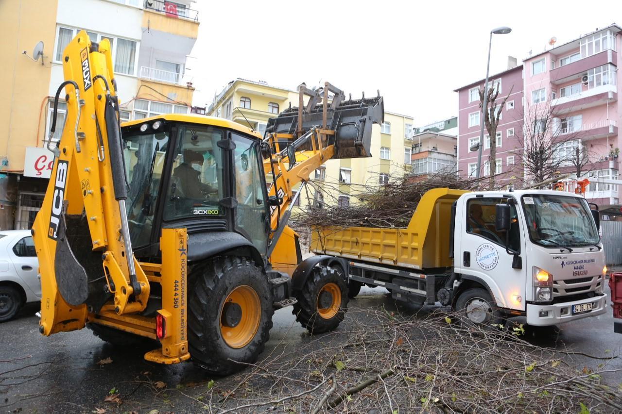 Küçükçekmece’de budanan ağaçlar, yakacak oluyor