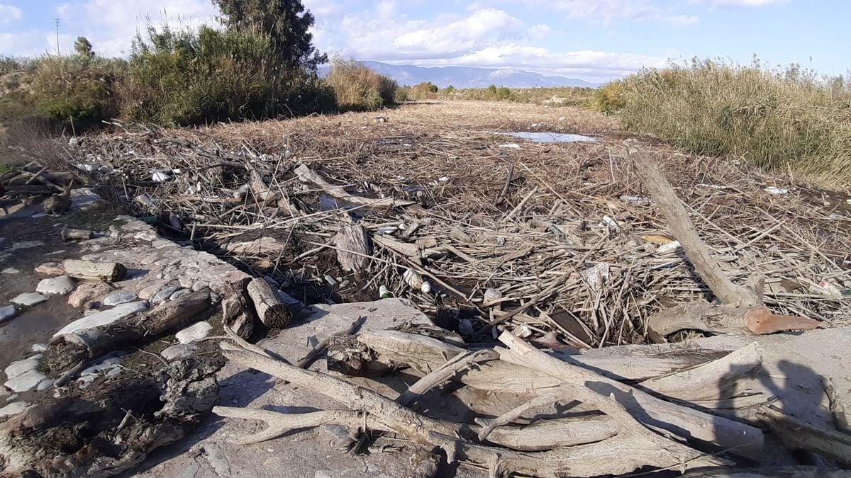 Büyük Menderes Nehrinde atık nedeniyle binlerce balık öldü