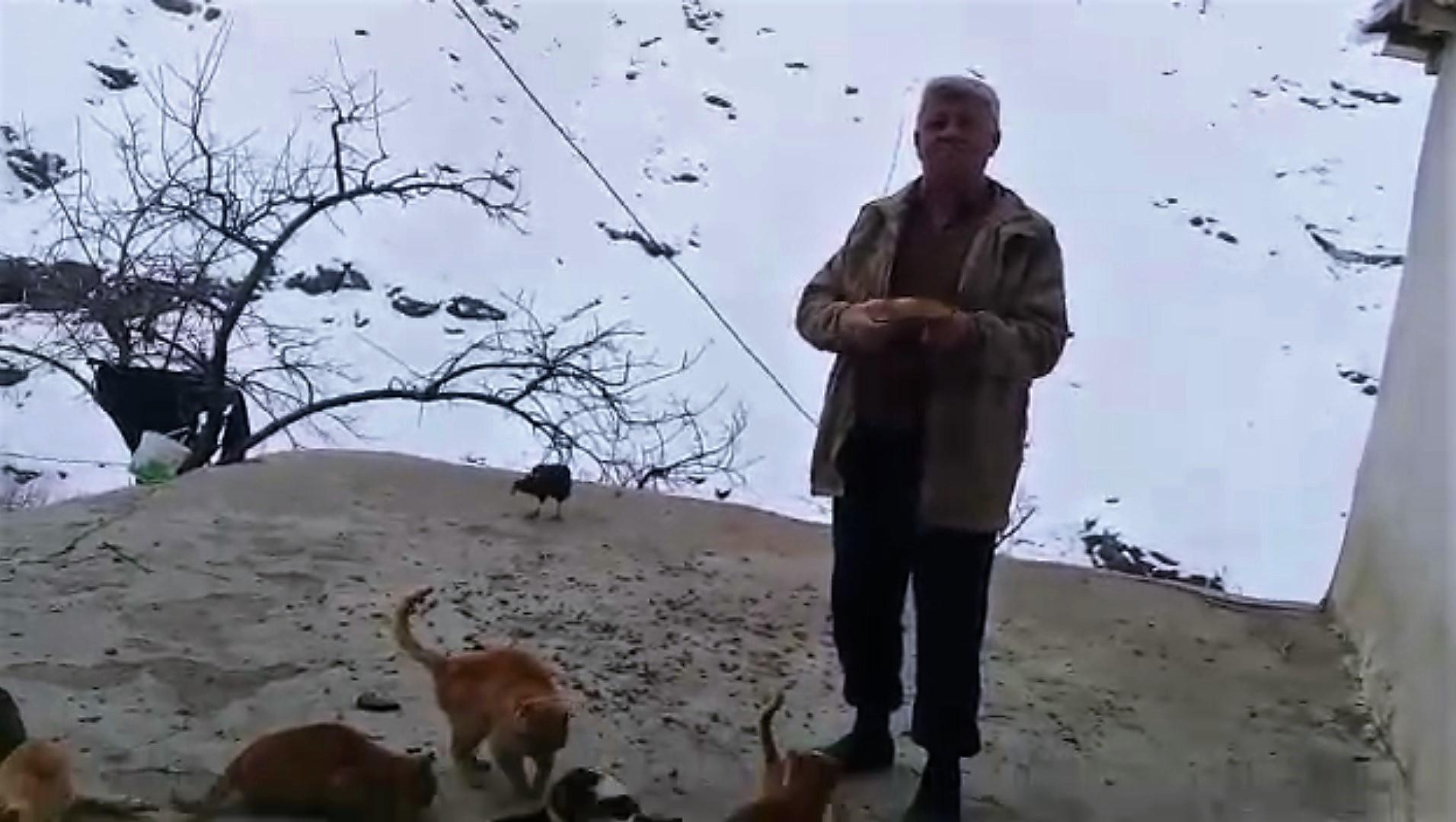 Kimsenin kalmadığı köyde, kedilerin ölmemesi için mücadele ediyor