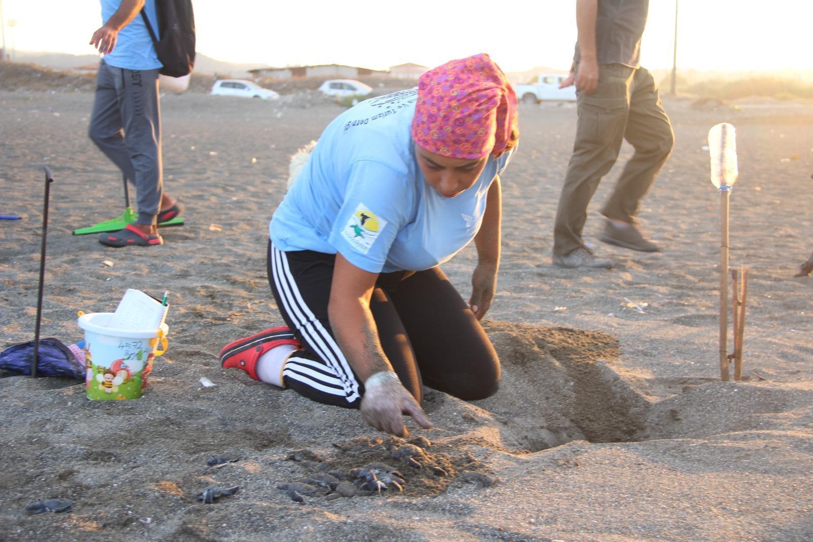 Yavru deniz kaplumbağalarının denize yolculuğu başladı