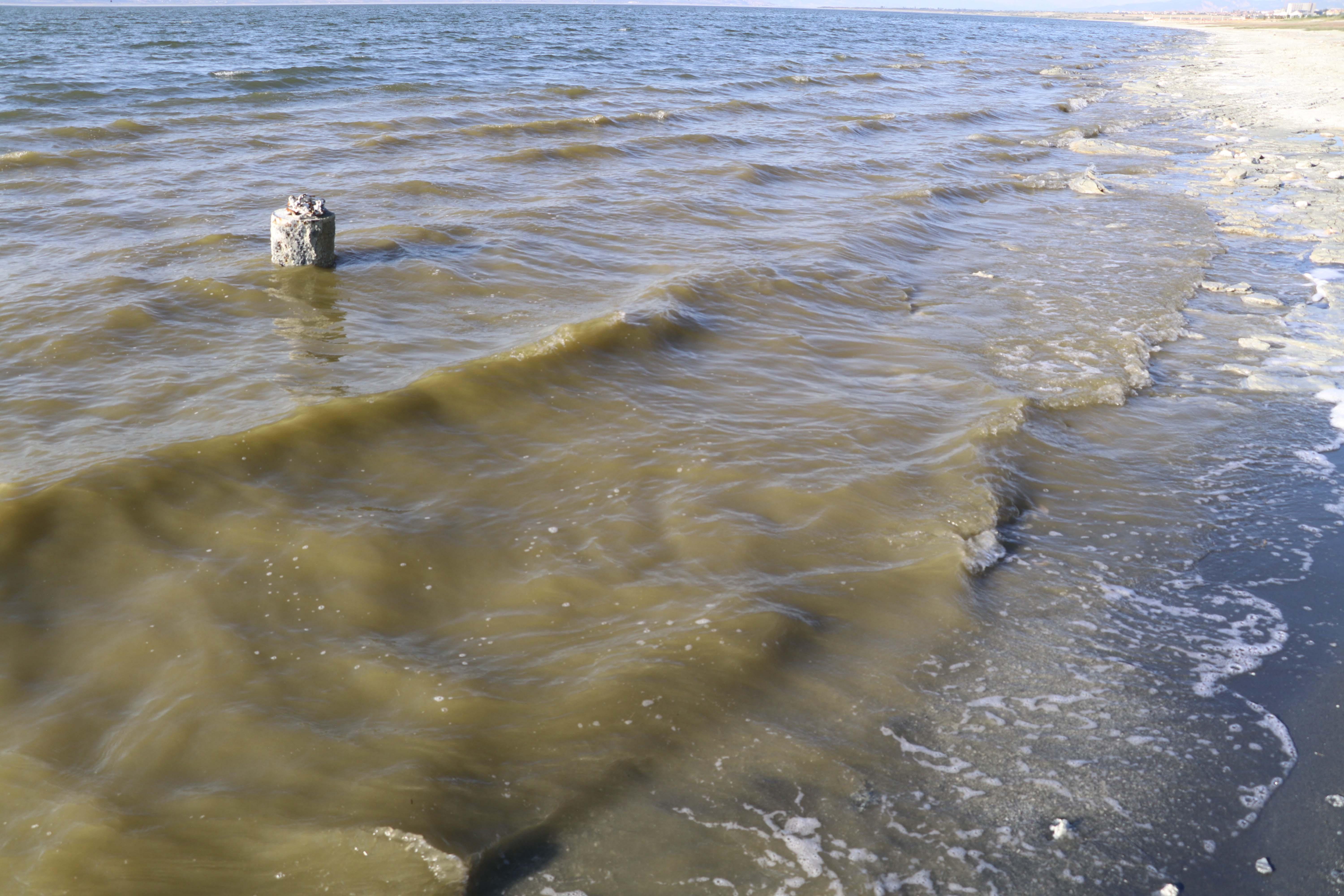 Burdur Gölünde alg patlaması