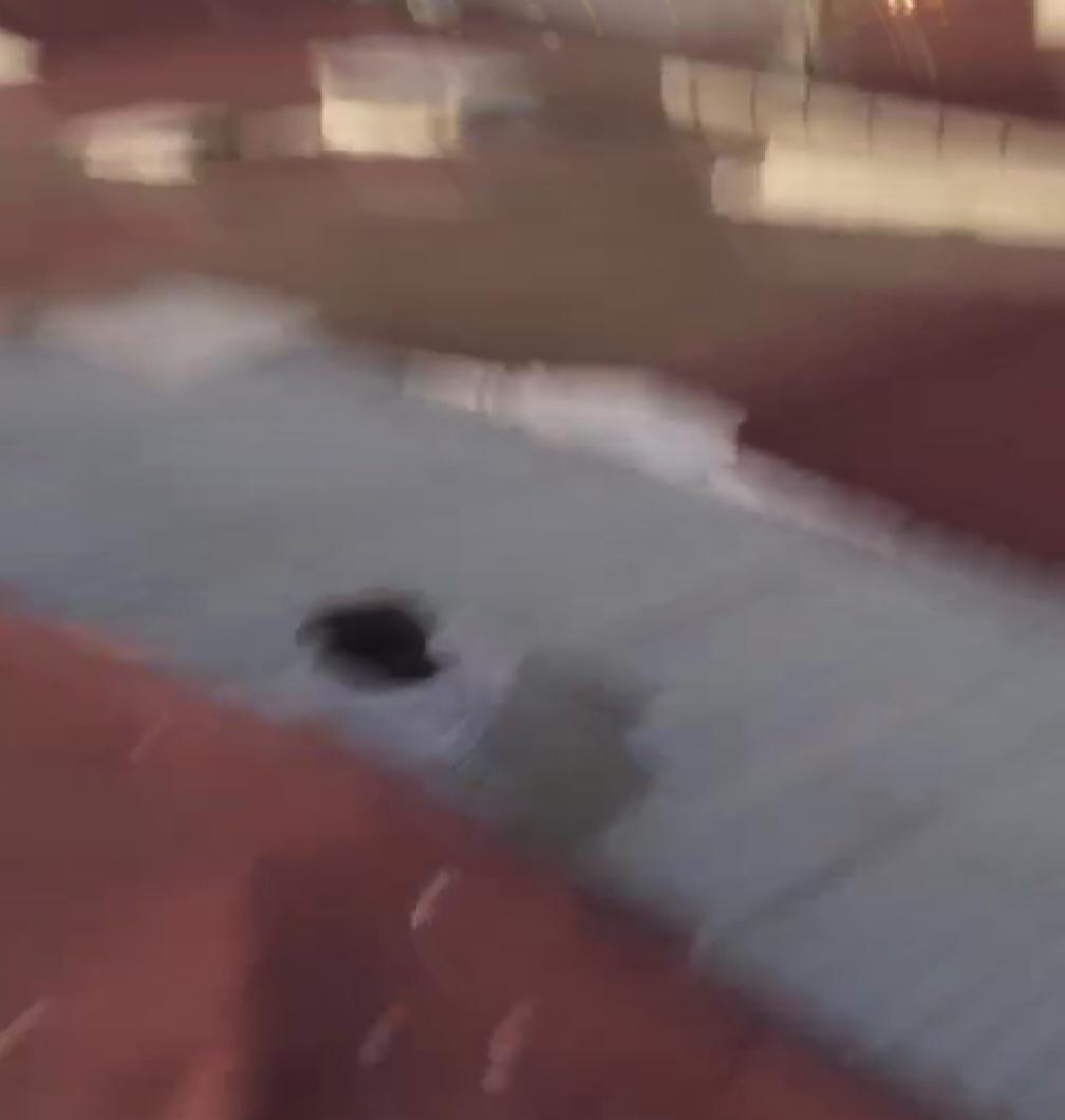 Tragic death during the photo shoots for social media... She recorded those moments