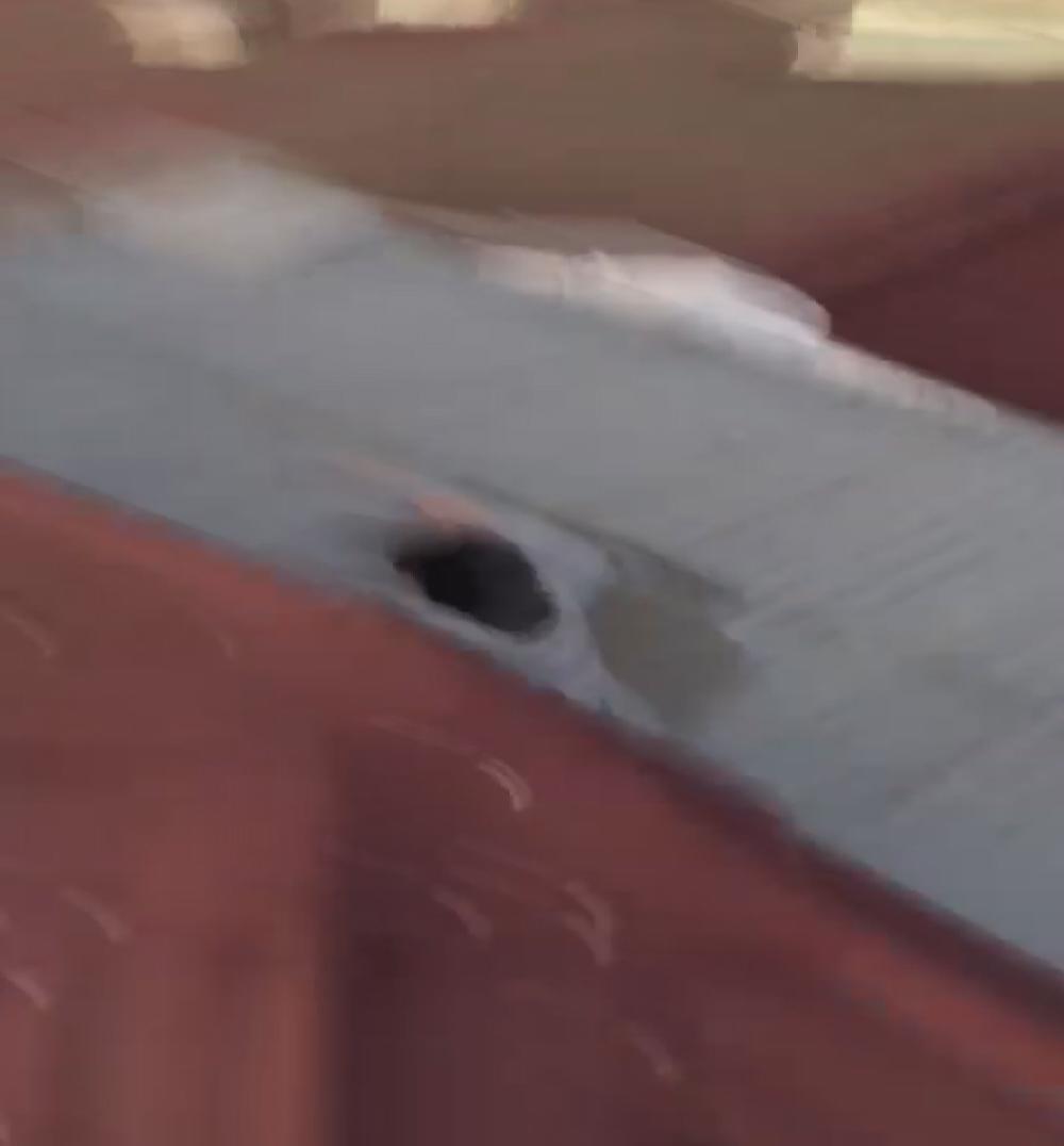 Tragic death during the photo shoots for social media... She recorded those moments