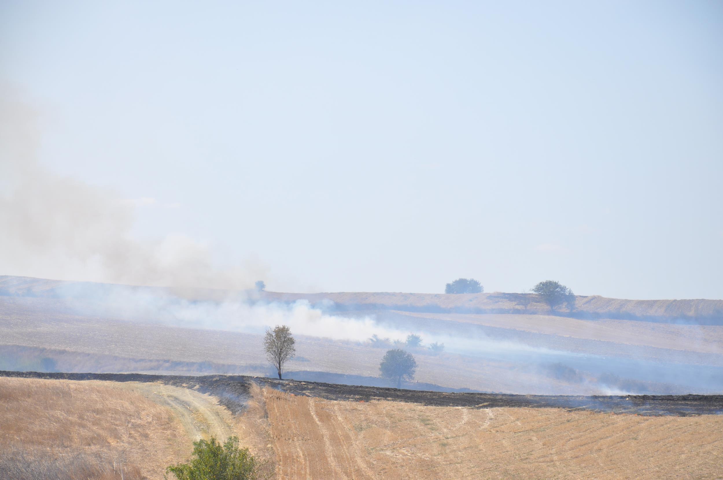 ‘Anız yakmakla topraktaki milyonlarca canlıyı bir anda yok ediyoruz’