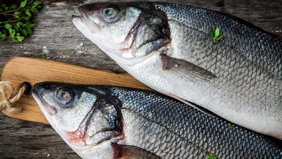 Aydın Su Ürünleri Yetiştiricileri Birliği Başkanı: Levrek tüketiminde risk yok