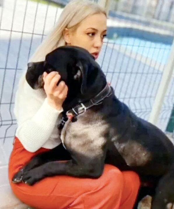 Pitbull saldırısına ilişkin görüntülerin bir kısmı silinmiş