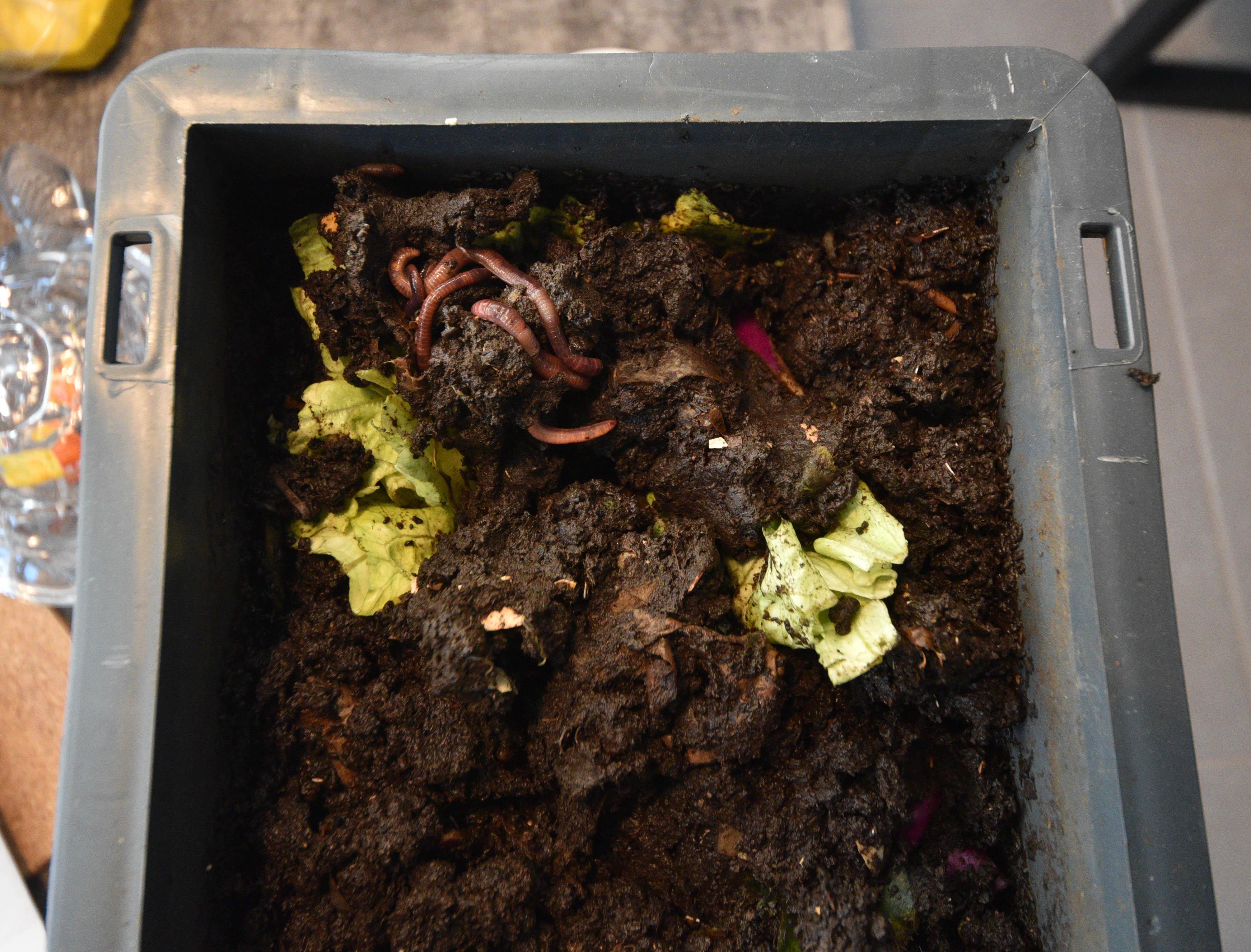 1000 solucanlı geri dönüşüm kutusu