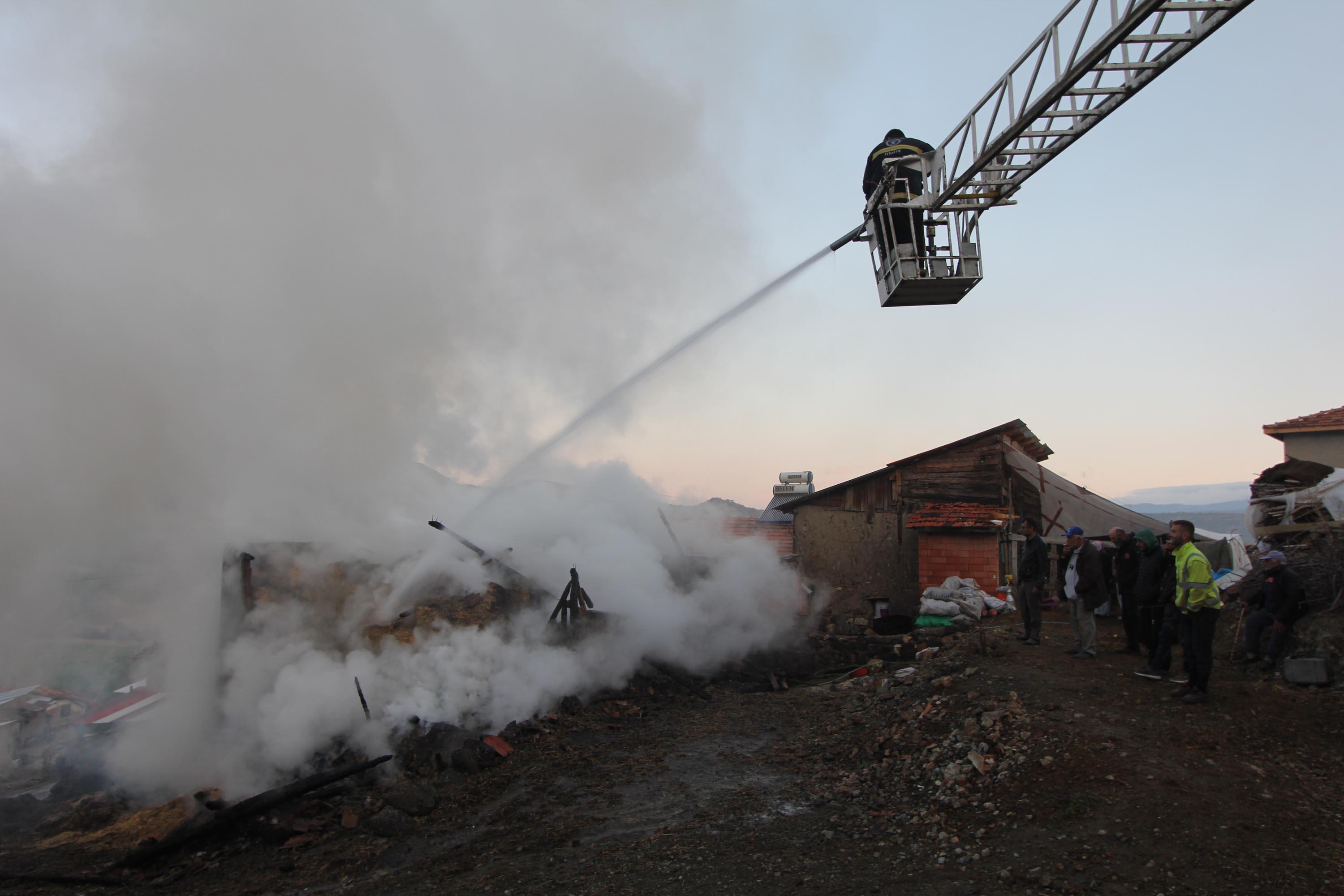 Kütahyada ahır yangını; 3 hayvan öldü