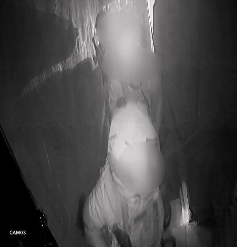 Batmanda pitbull köpekleri silah gibi kullanan terör bağlantılı suç örgütü çökertildi