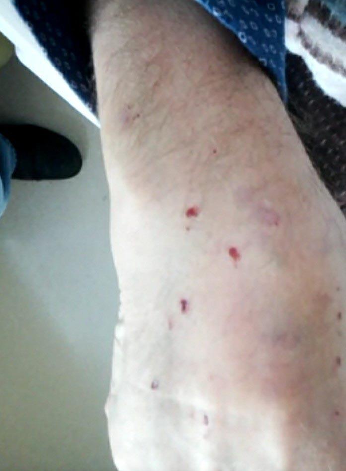 Oyuncu Göksel Kaya: Eşim Geber dedi, yumruk ve tekme attı