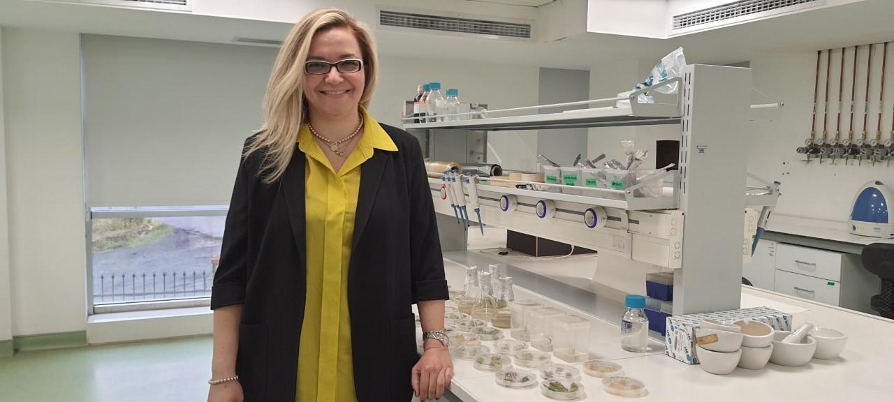 Gıda sorunuyla topraksız tarım yöntemiyle mücadele edilebilir