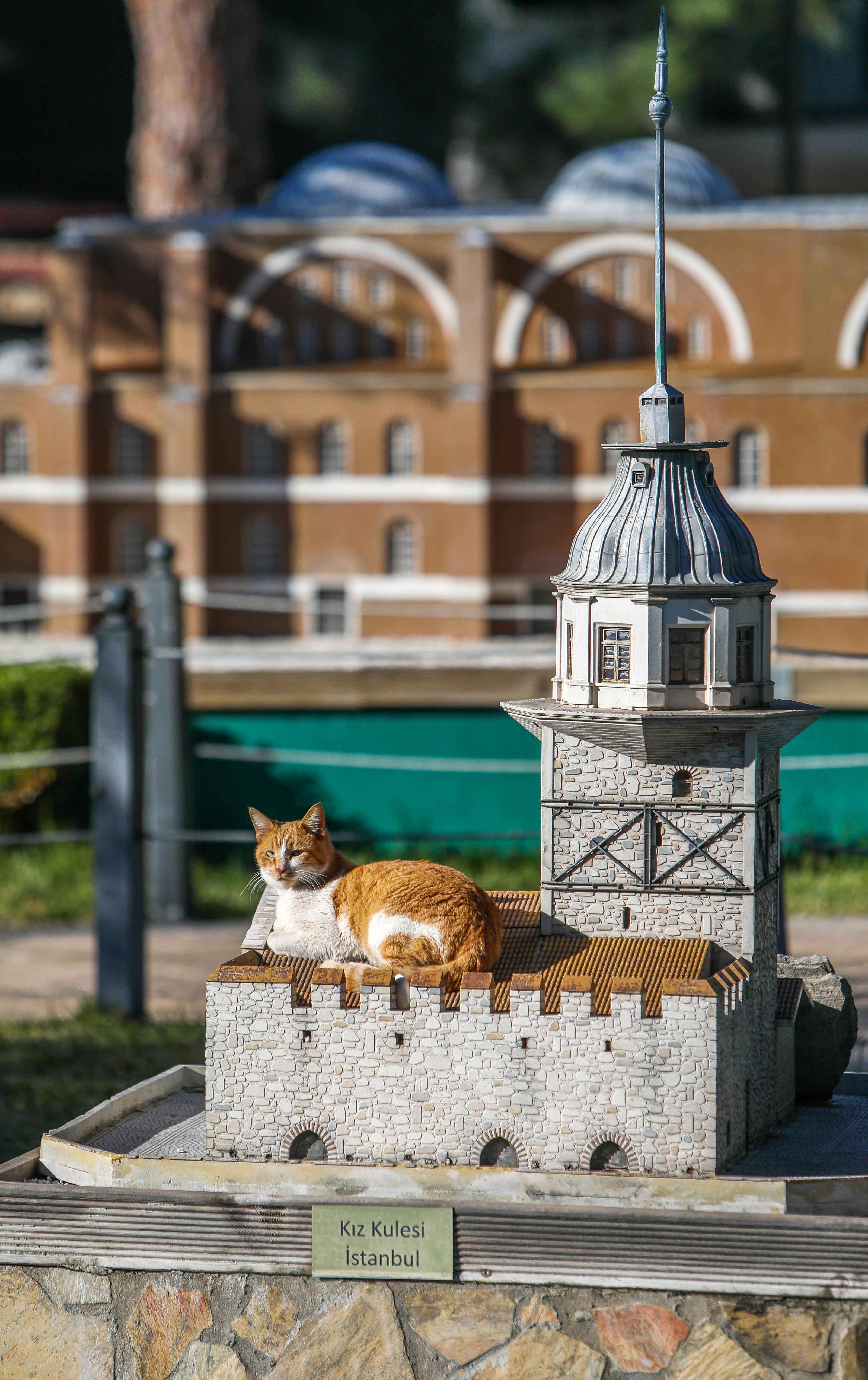 Minyatür Türkiye Parkının tüylü sakinleri
