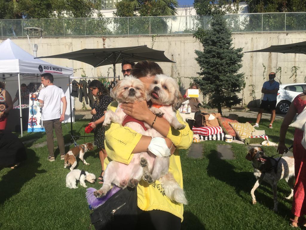 Evcil hayvanlar ‘Köpek Festivali’nde sosyalleşti