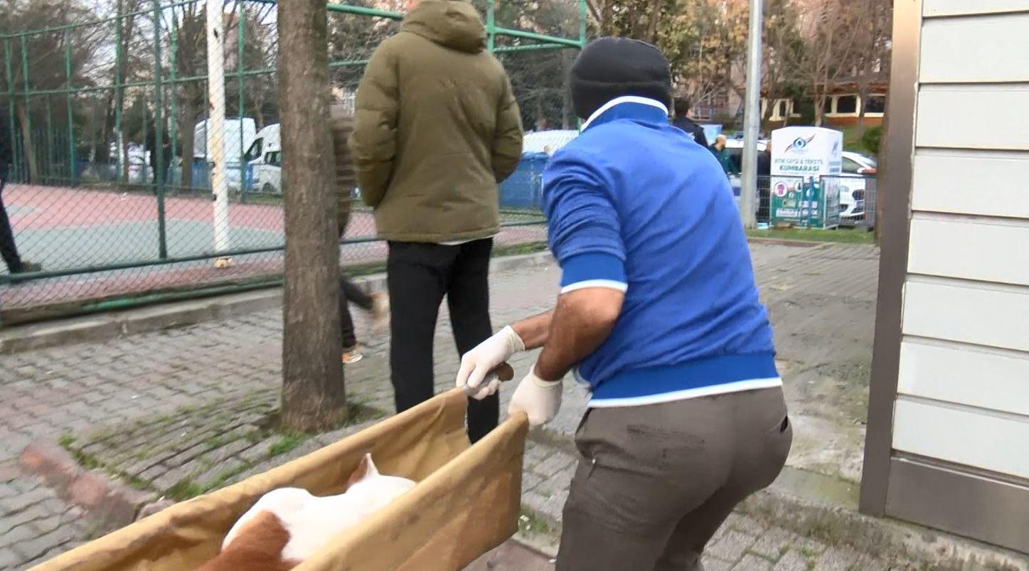 Sultangazide basketbol oynayanlara pitbull saldırısı: 2 yaralı