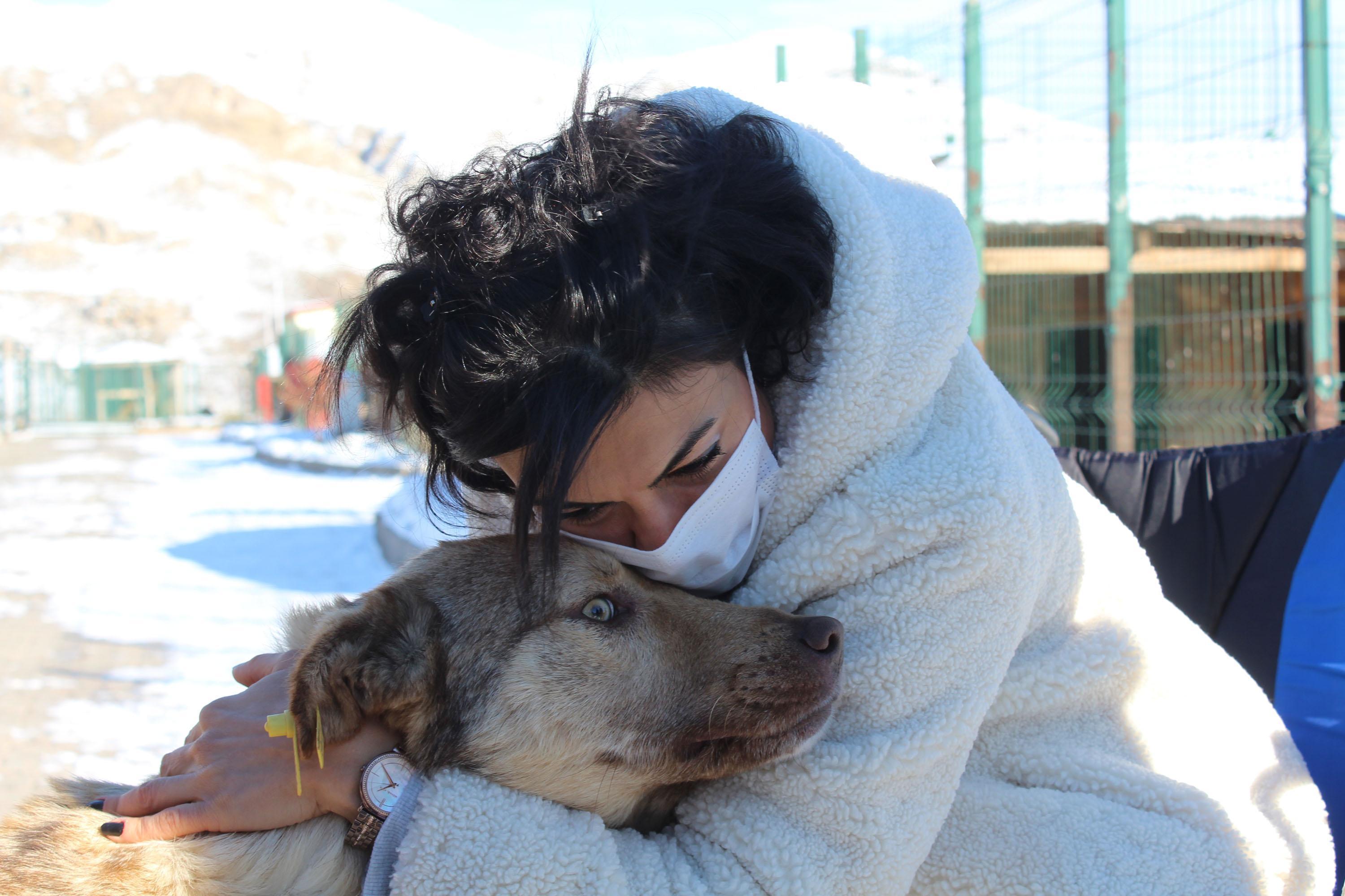 Sivasta sokak hayvanlarına 4 mevsime göre barınak hizmeti