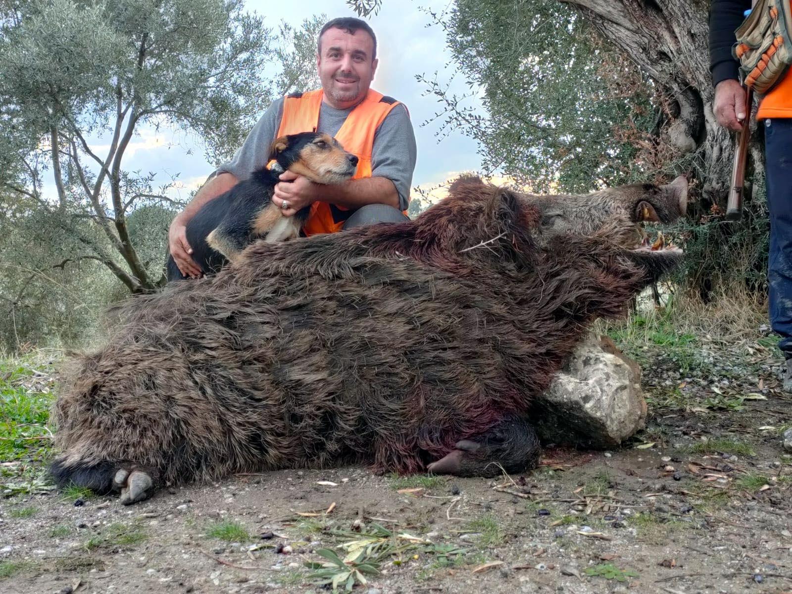 250 kiloluk domuz vurup, sosyal medyada paylaştılar