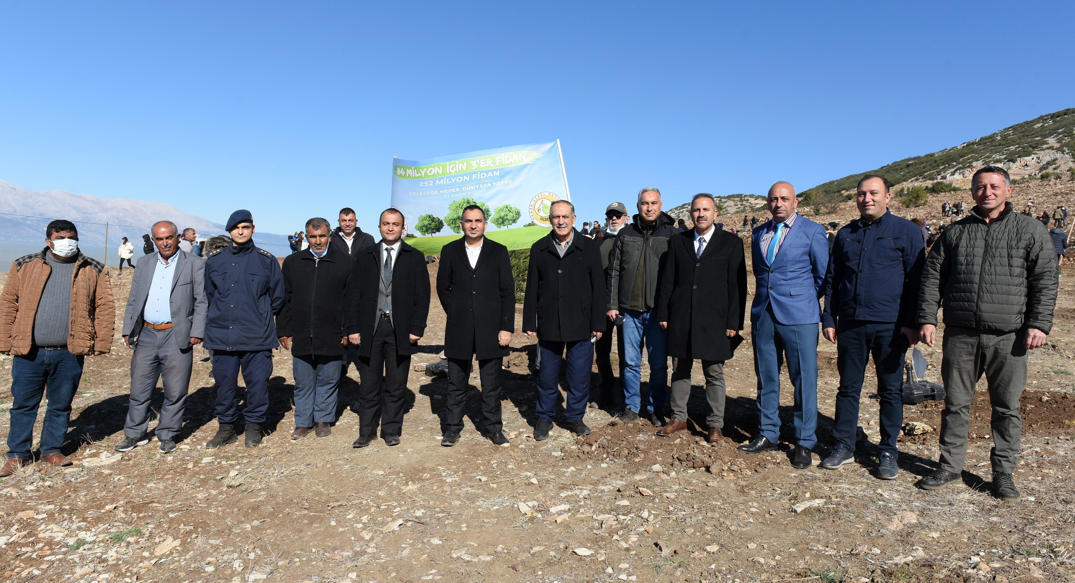 1900lerde demir yolu yapımı için kesilen ardıç ağaçları, yeniden hayat bulacak