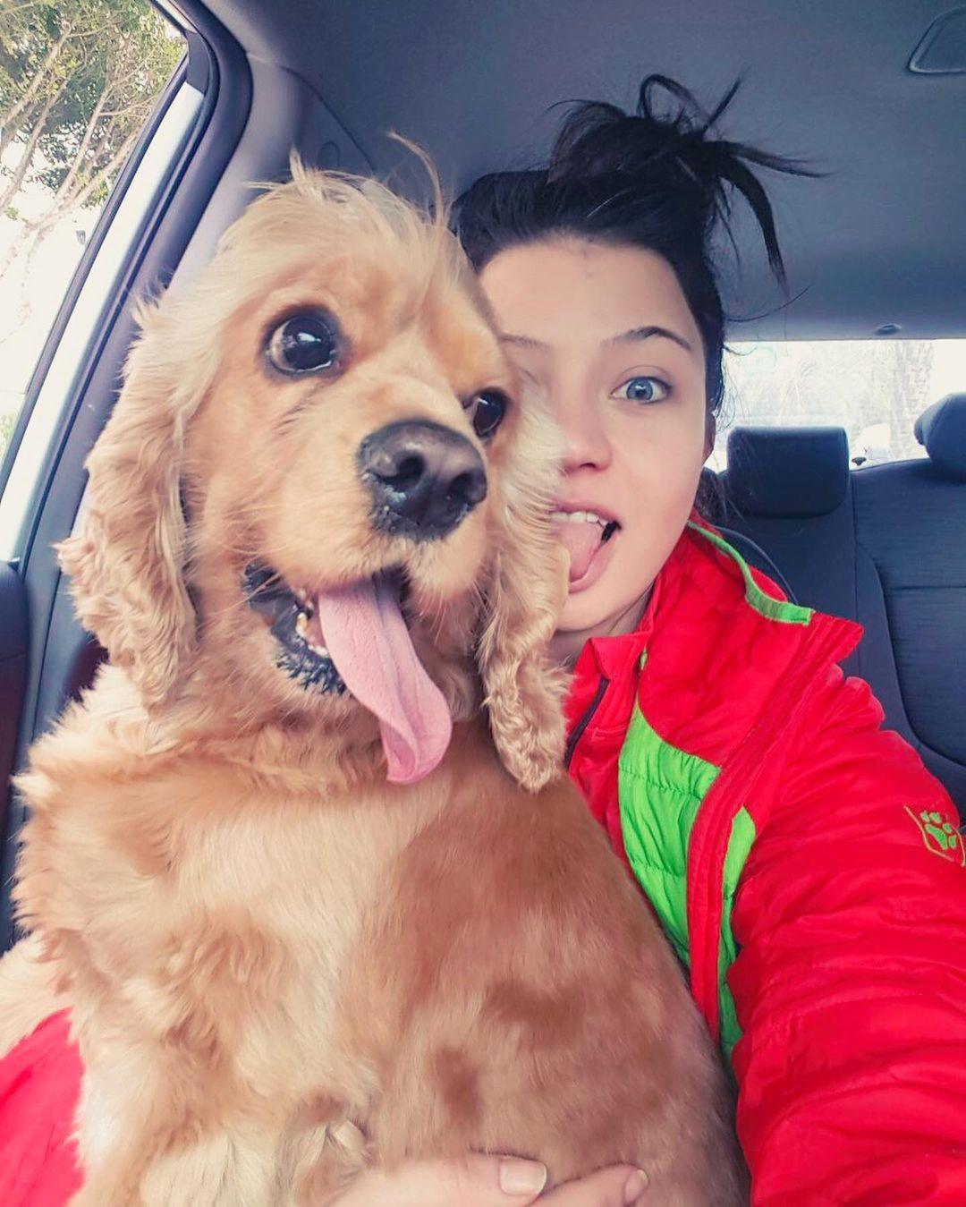 Tasmasız dolaştırılan pitbull, saldırdığı köpeği öldürdü