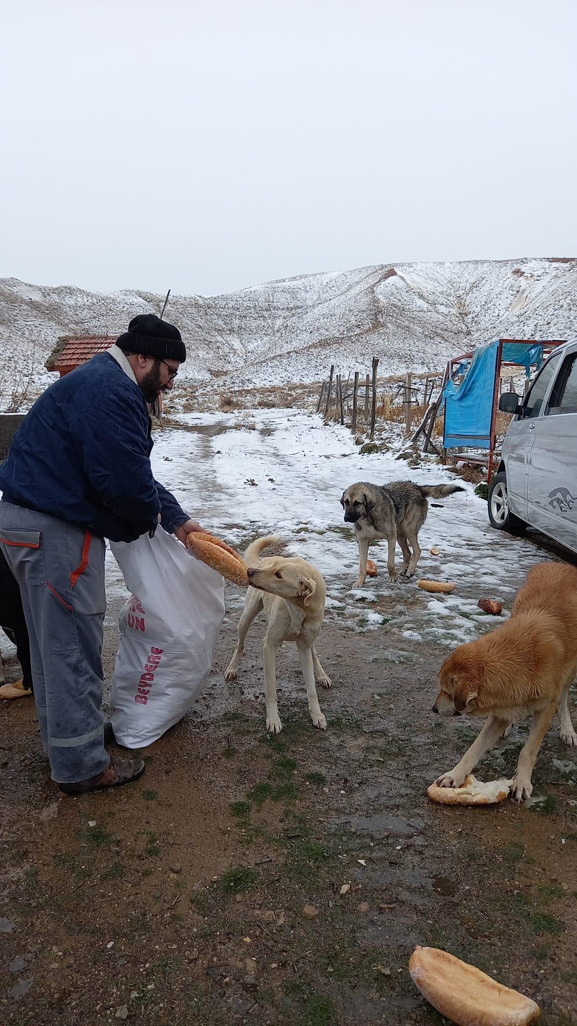 Karlı havada da 60 kilometre gidip, köpekleri besledi