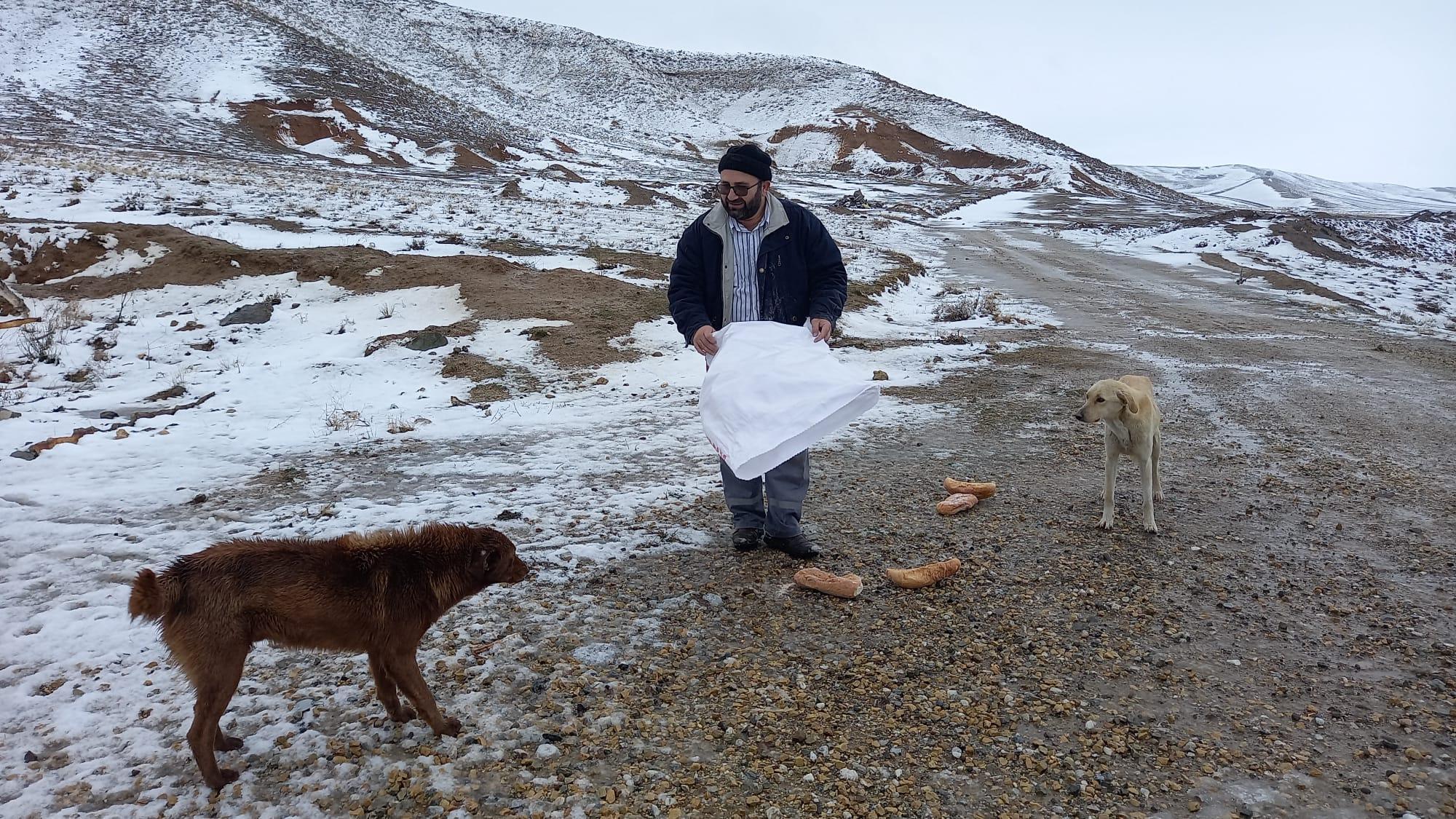 Karlı havada da 60 kilometre gidip, köpekleri besledi