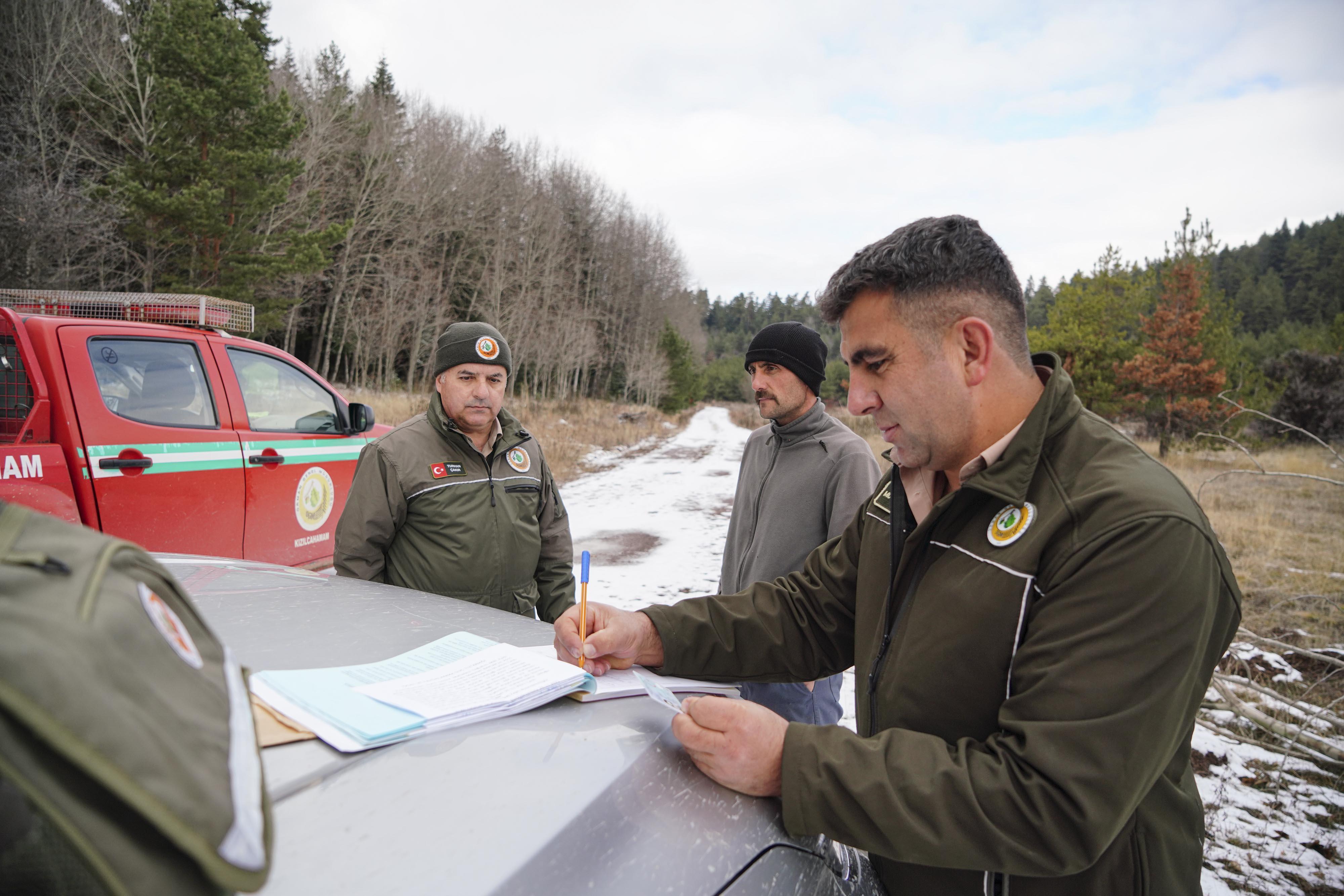 Yılbaşı öncesi kaçak çam ağacı kesimine sıkı denetim