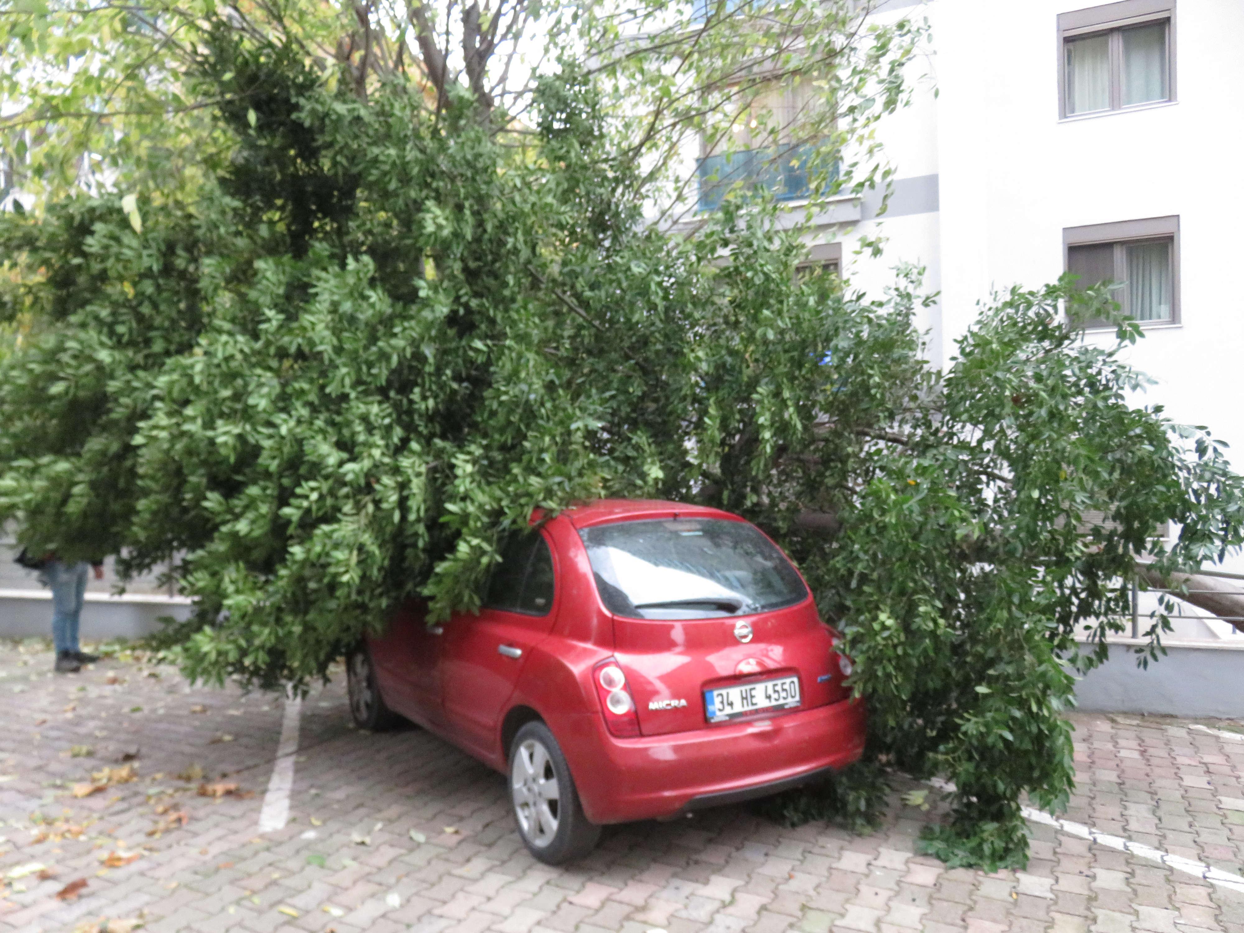 İstanbulda lodos: Ölü ve yaralılar var