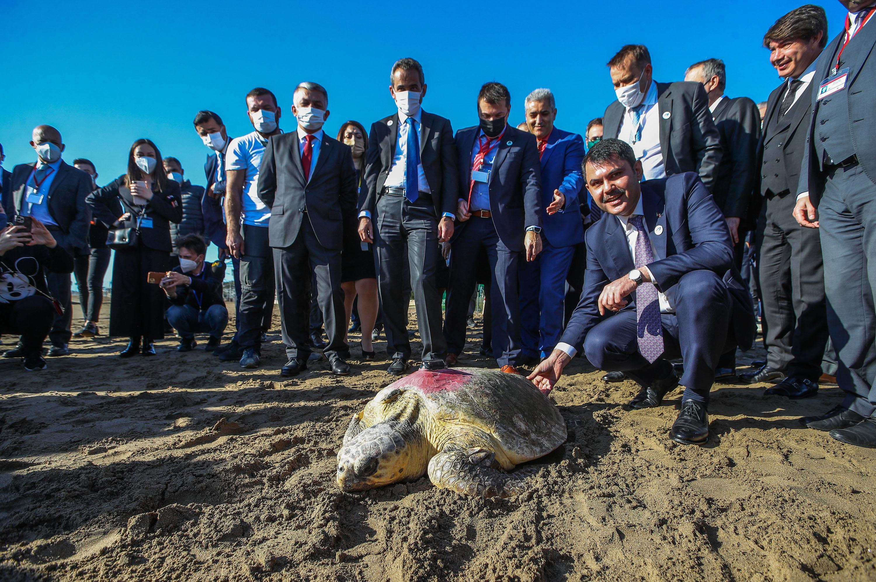 Bakan Kurum: Plastikler, deniz canlılarımızı tehdit ediyor